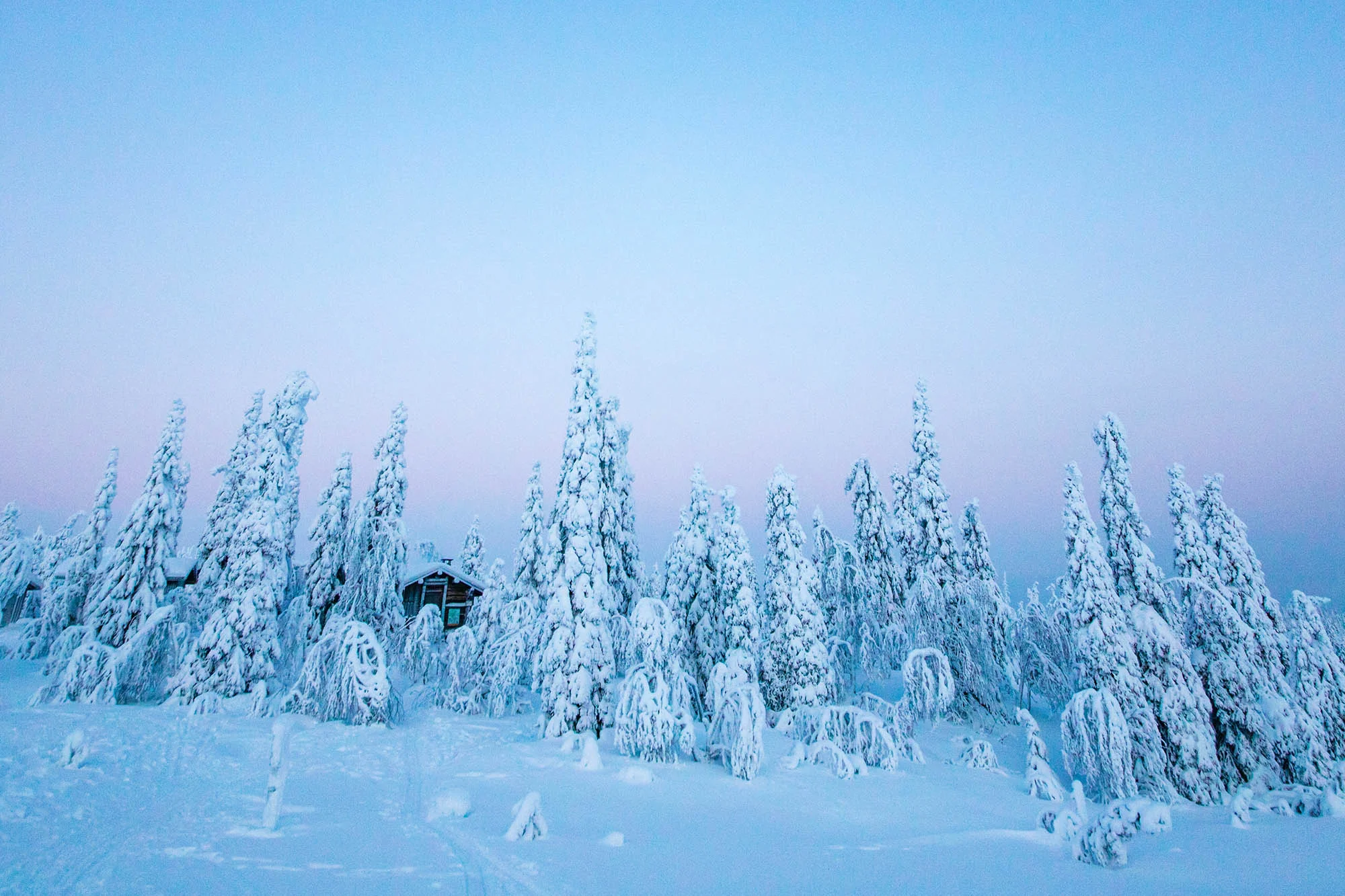 160106_PNMyy07.jpg