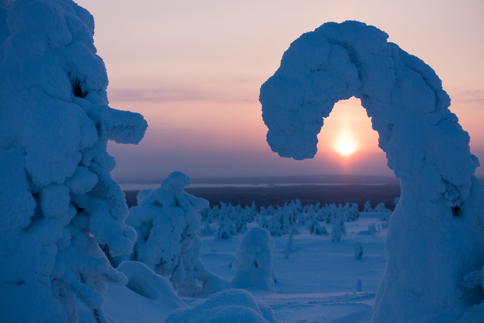 160107_PNMyy57.jpg