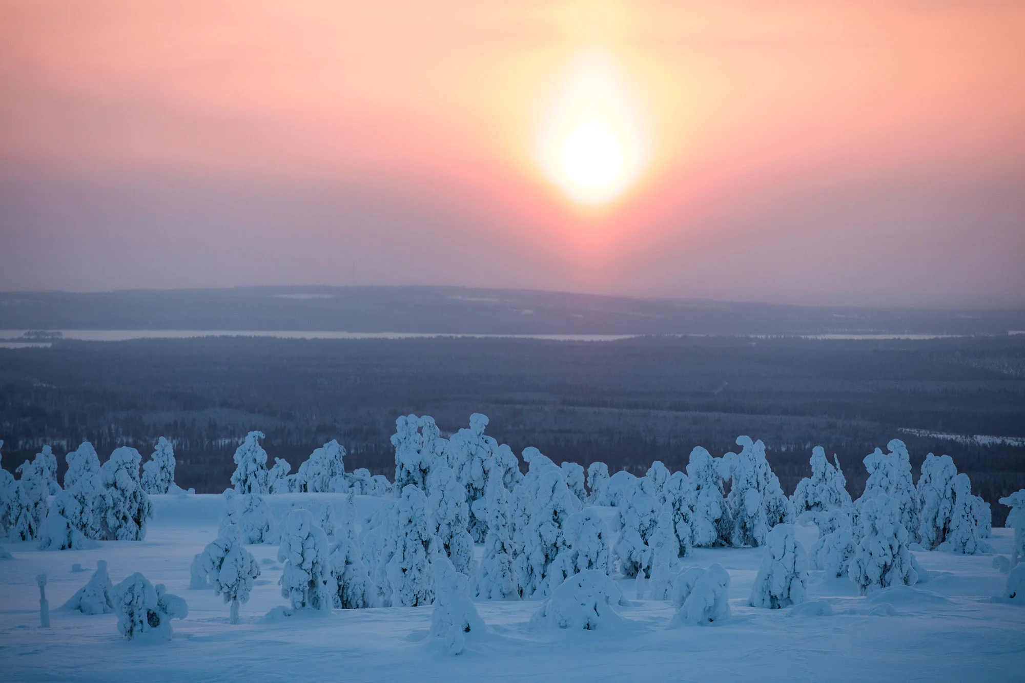 160107_PNMyy62.jpg