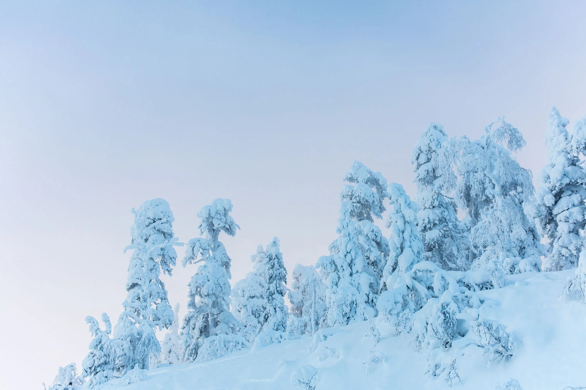 160205_PNMyy13_11.jpg