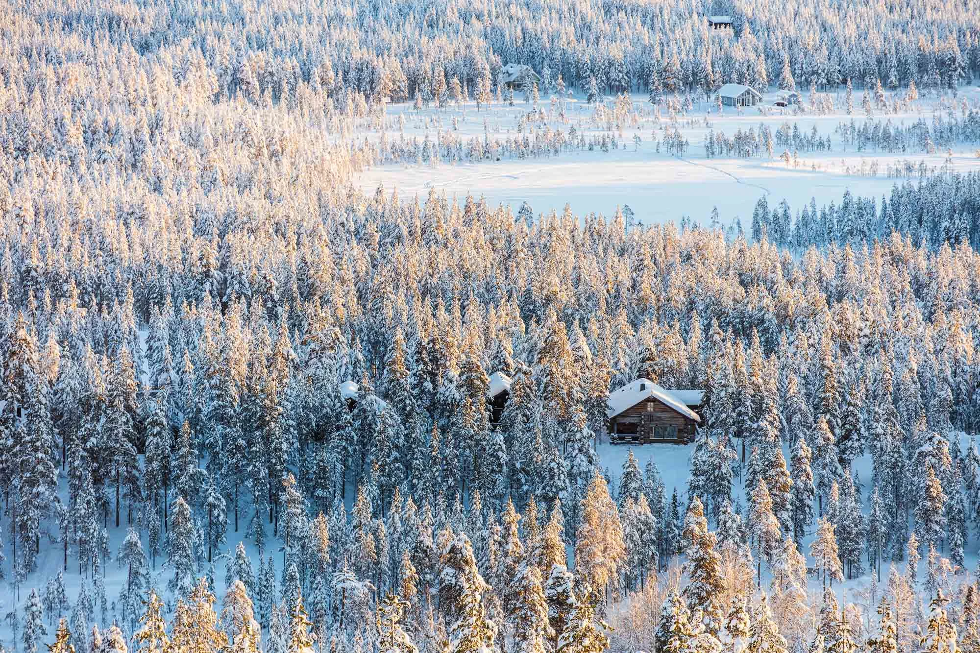 160206_PNMyy13_18.jpg