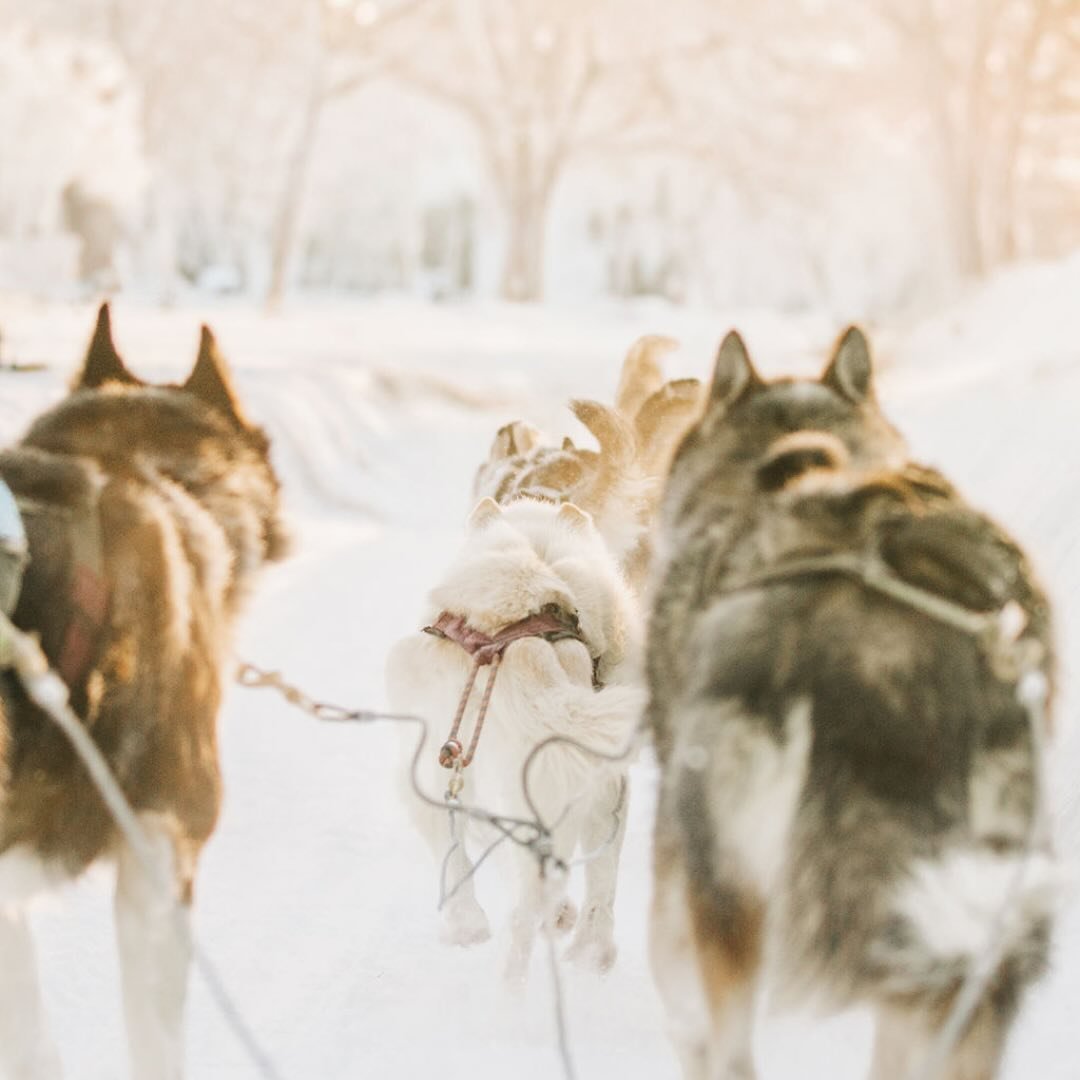last minute adventure&hellip;

join us for our first Lapland adventure of the season.  This is a multi-activity week for those who enjoy adventure but also a hot shower, your own bed and a luxury log cabin for the week.

just two spots remaining! 

#