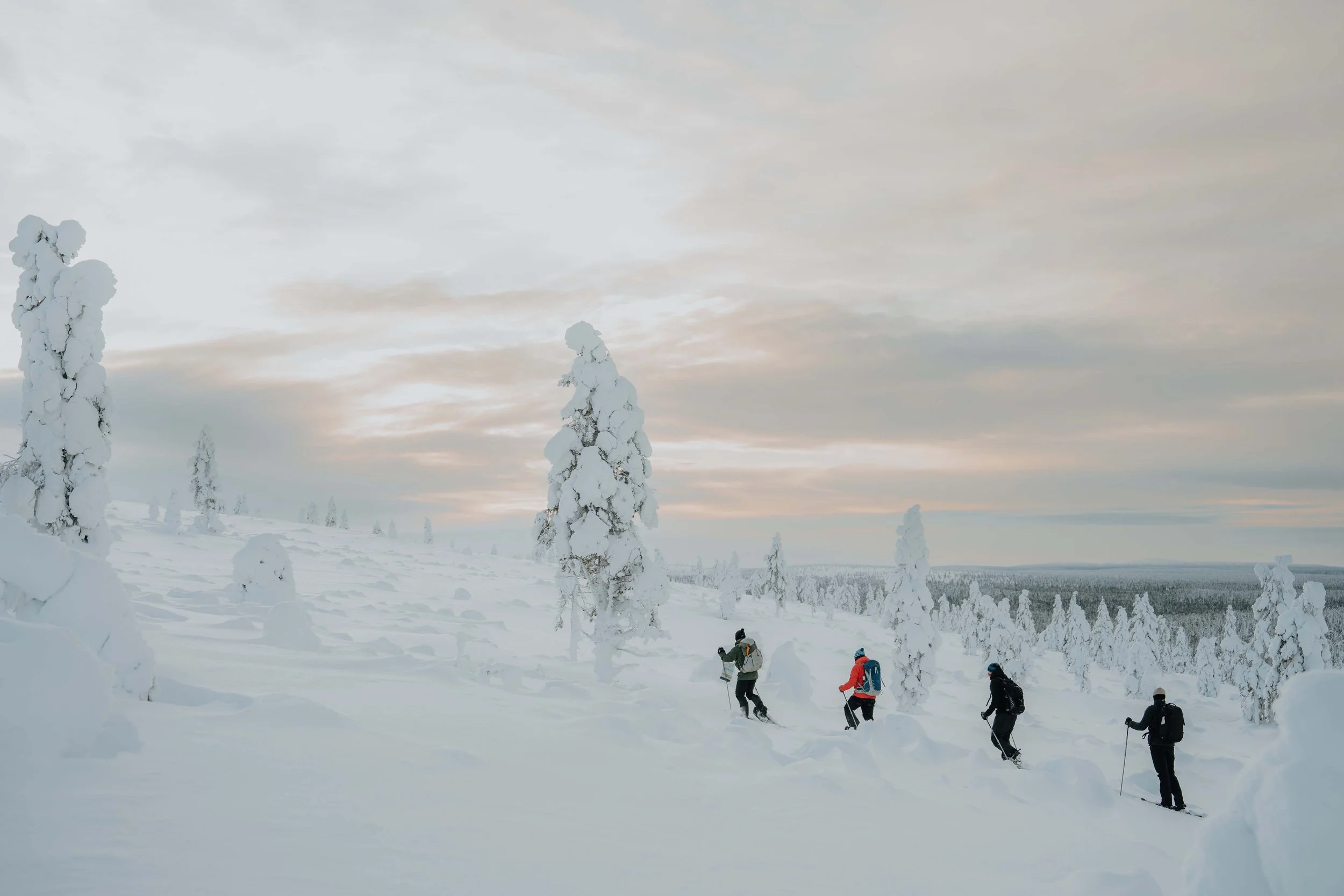 AV - Sidetracked Selects 2.jpg