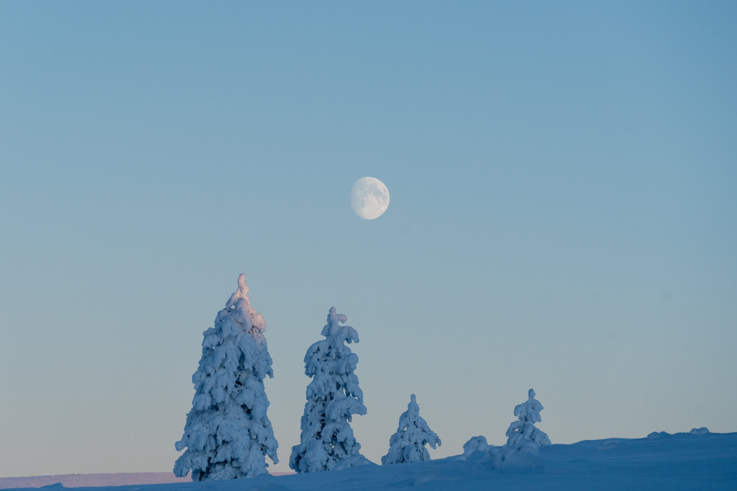 202602_Lapland_Sidetracked_0886.jpg