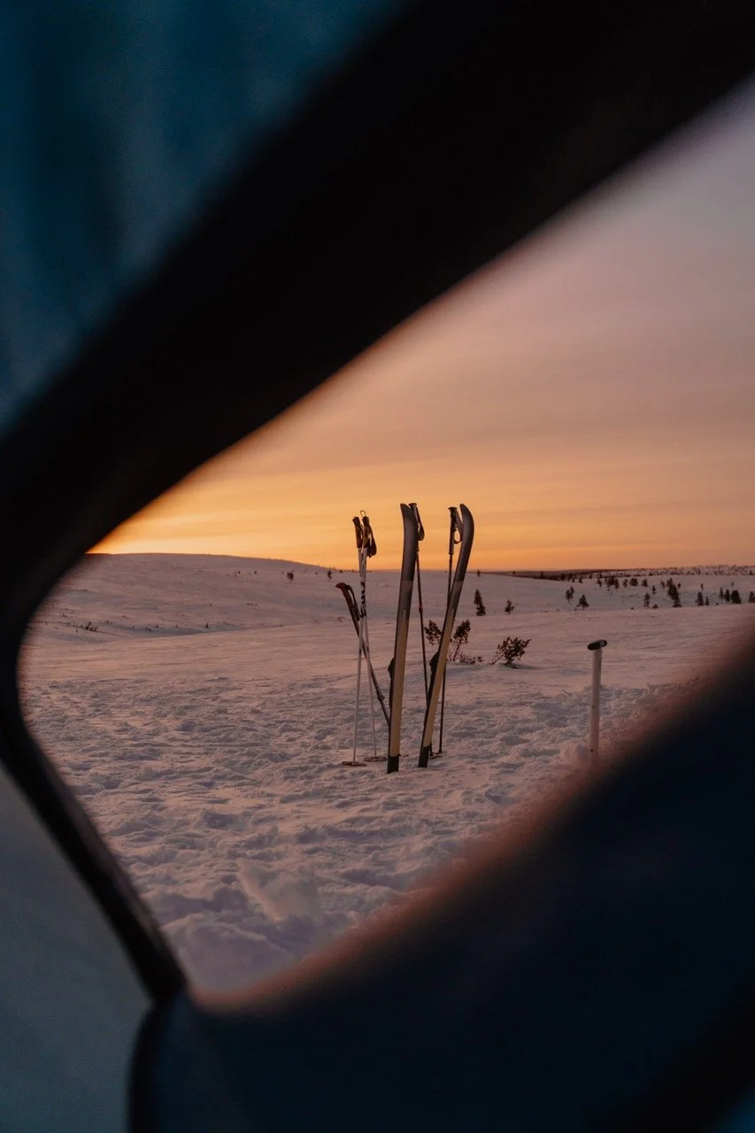 Skis and poles standing in snow at sunset or sunrise in a snowy landscape.
