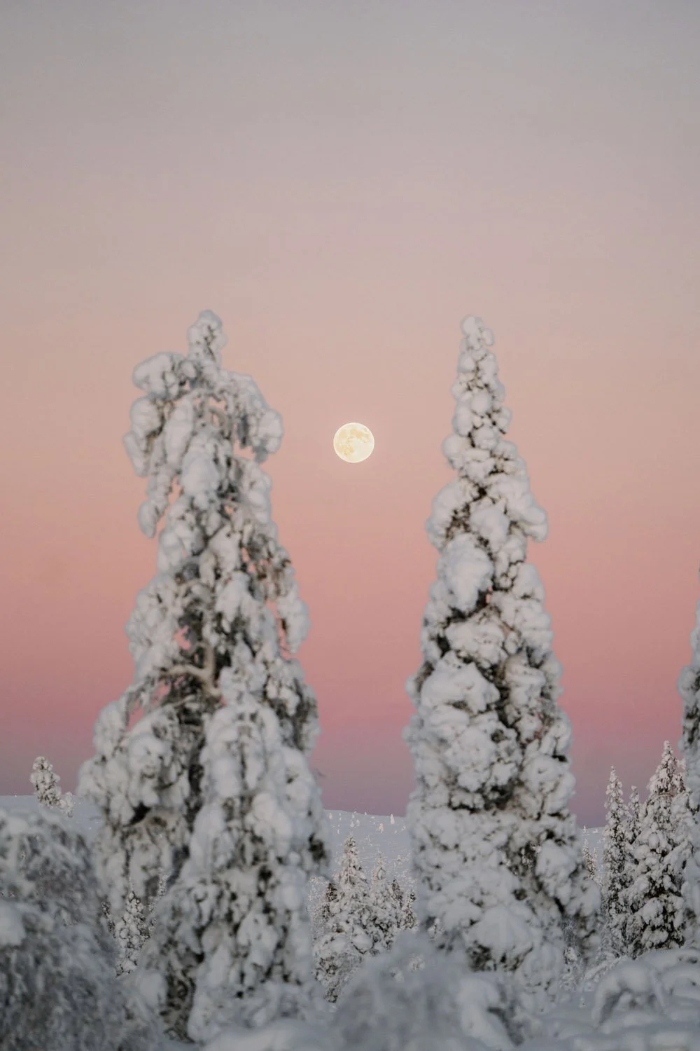 AB Lapland Adventure Week-326.jpg