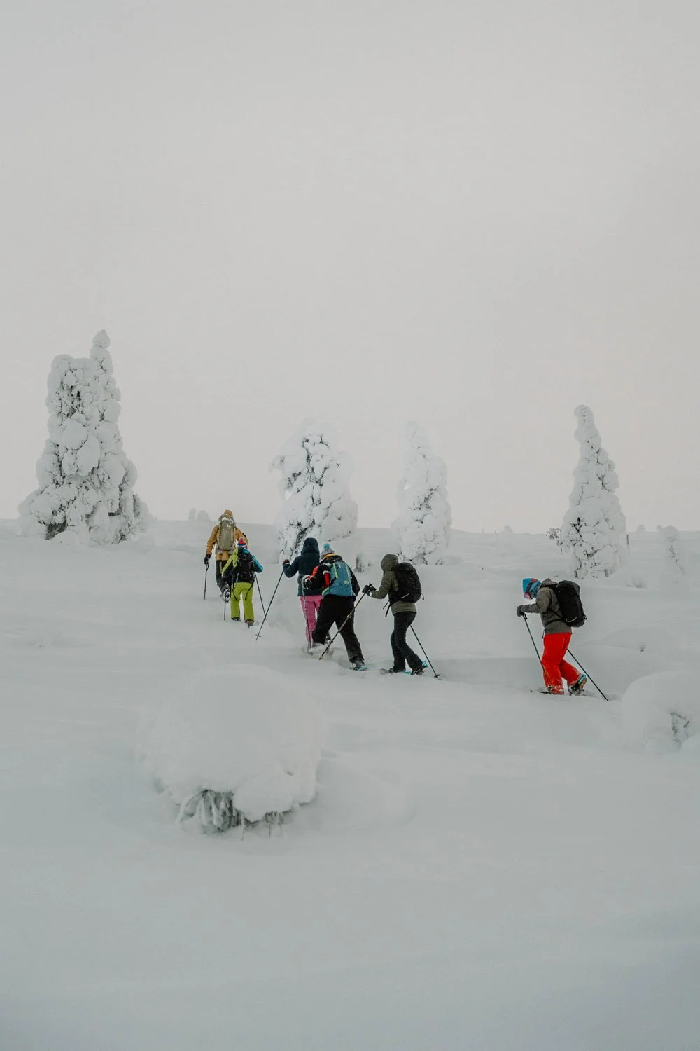 AB Lapland Adventure Week-37.jpg
