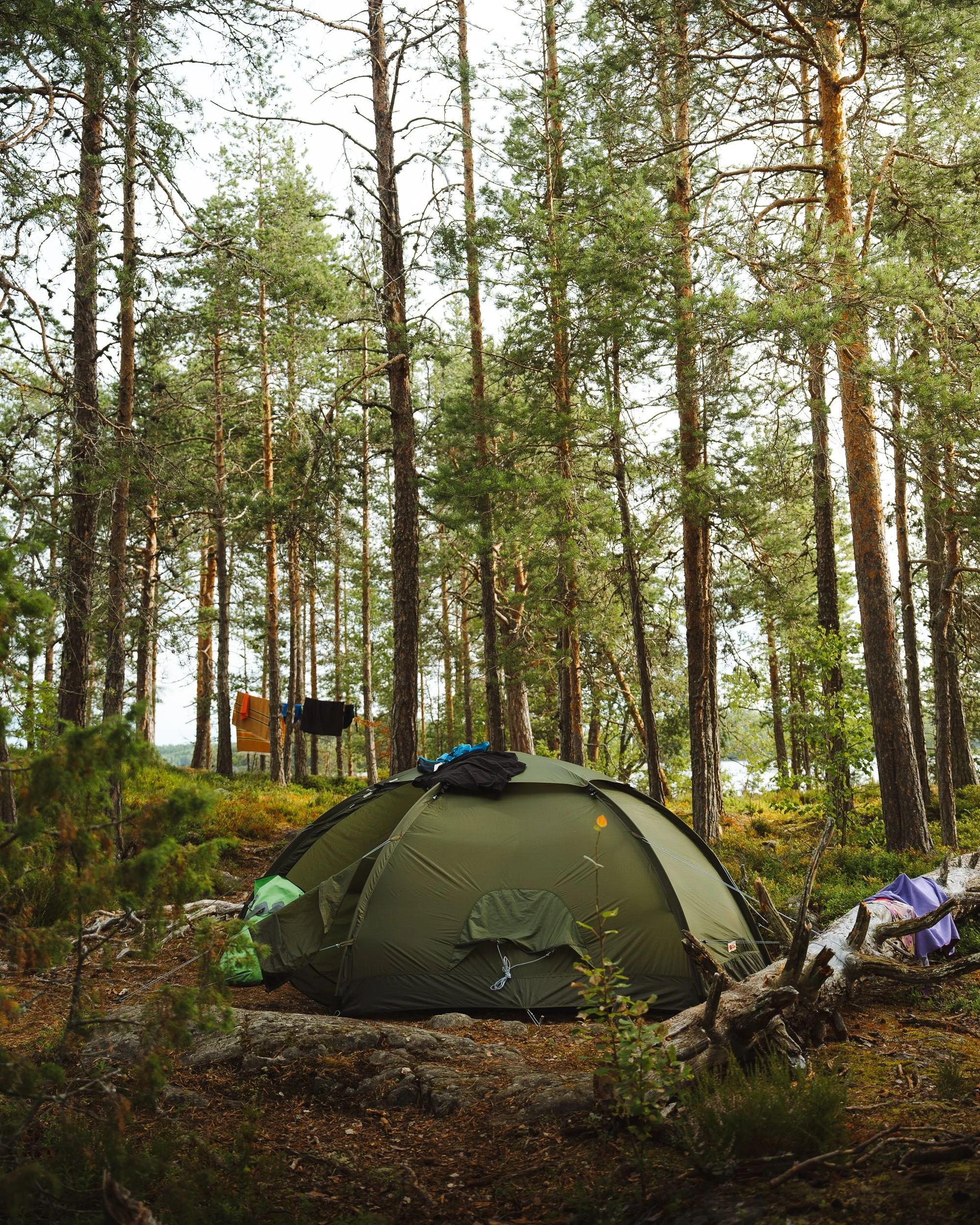 Camping tent set up in a forest, with trees surrounding it and clothes hanging to dry in the background.