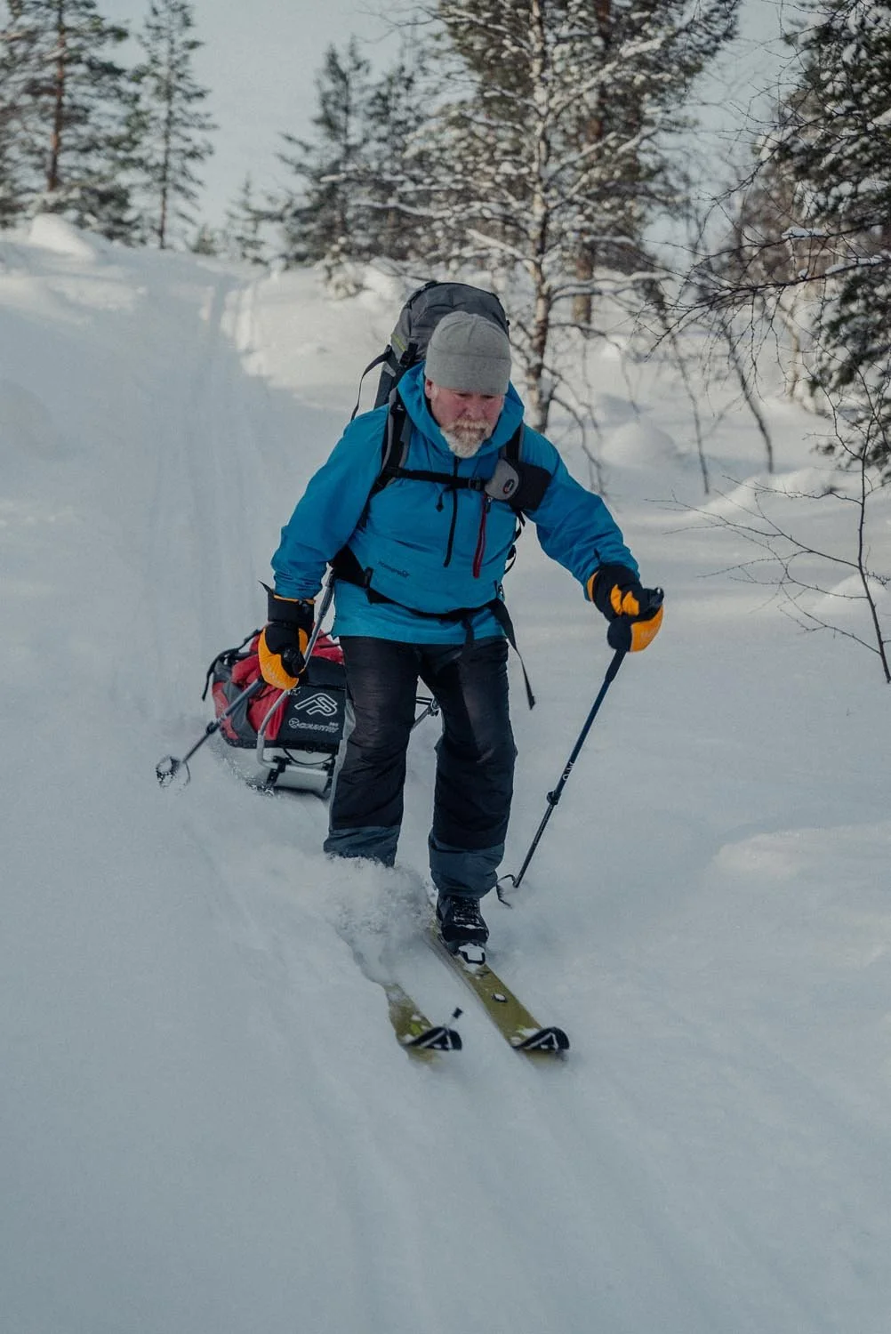 A man in a blue jacket, black pants, and a gray beanie is cross-country skiing in a snowy forest, pulling a sled behind him.
