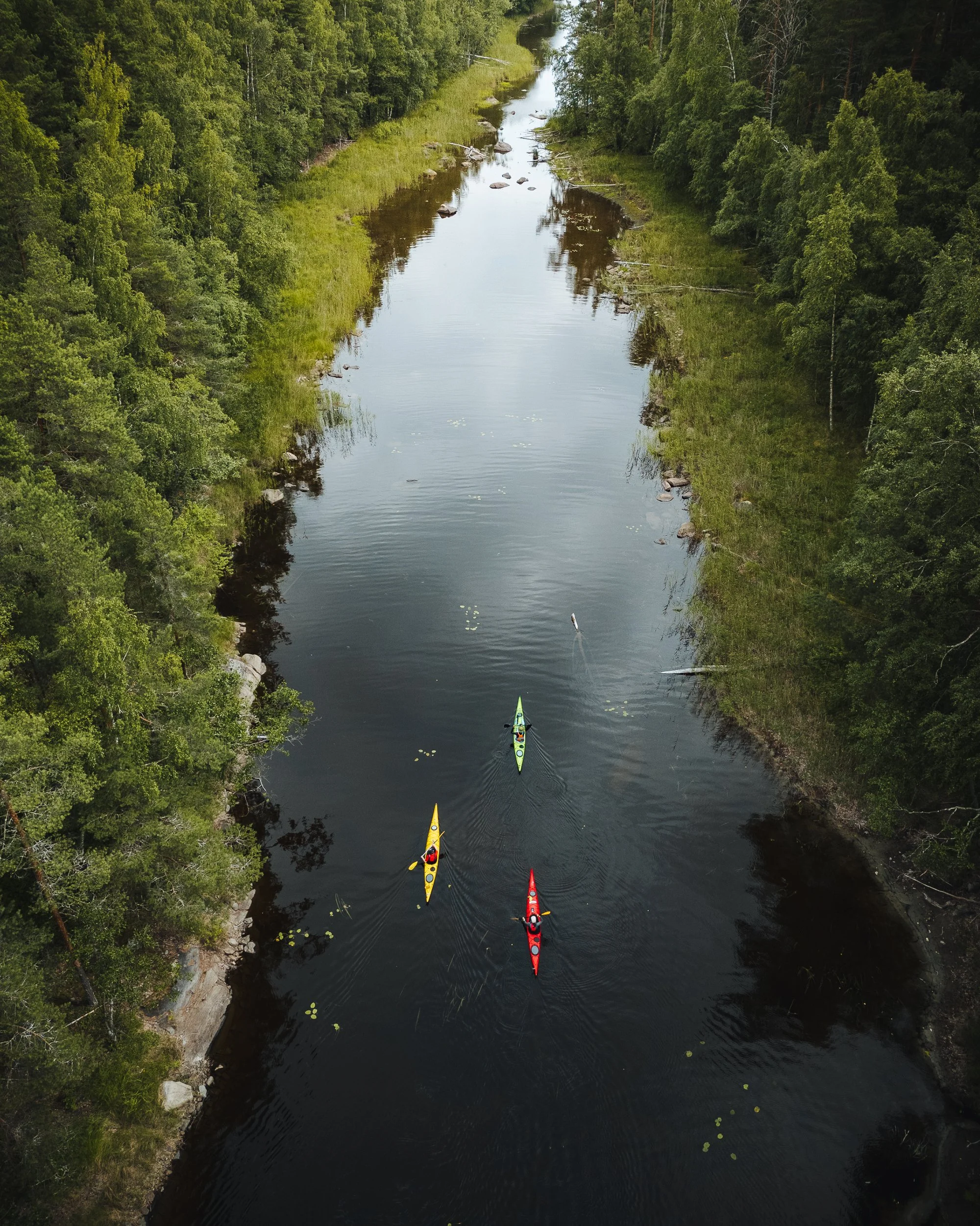 Four kayakers paddling down a narrow river surrounded by dense green forest.
