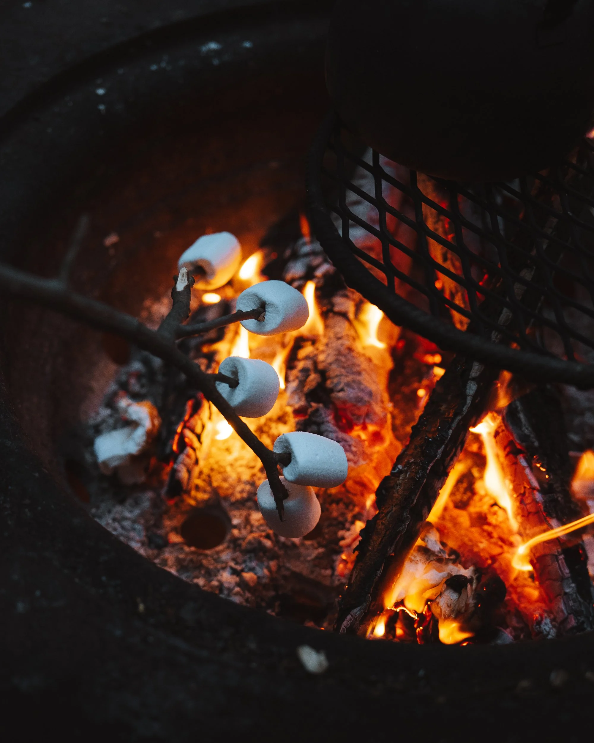 Close-up of marshmallows on sticks roasting over an open fire.