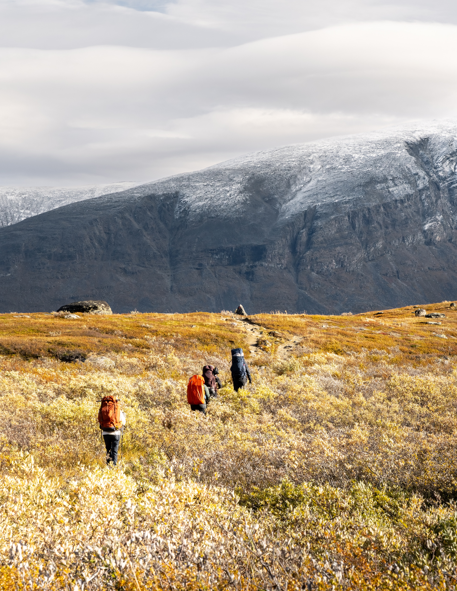 Four hikers with backpacks walking through a field of yellowish plants towards a mountain with a snow-capped peak and cloudy sky in the background.