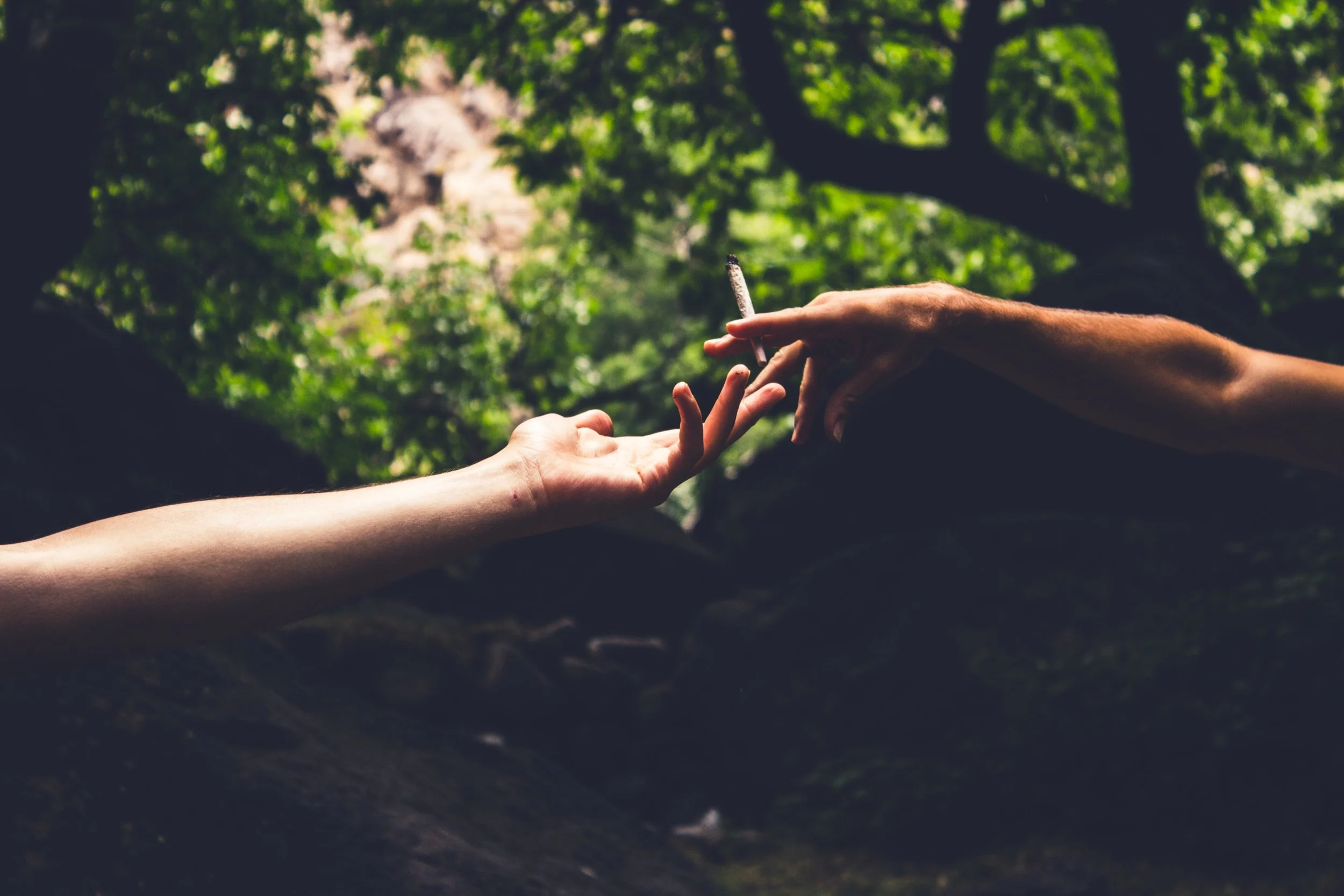 A Beginner’s Guide to Cannabis and Sex, an Interview with Sophie Saint Thomas
