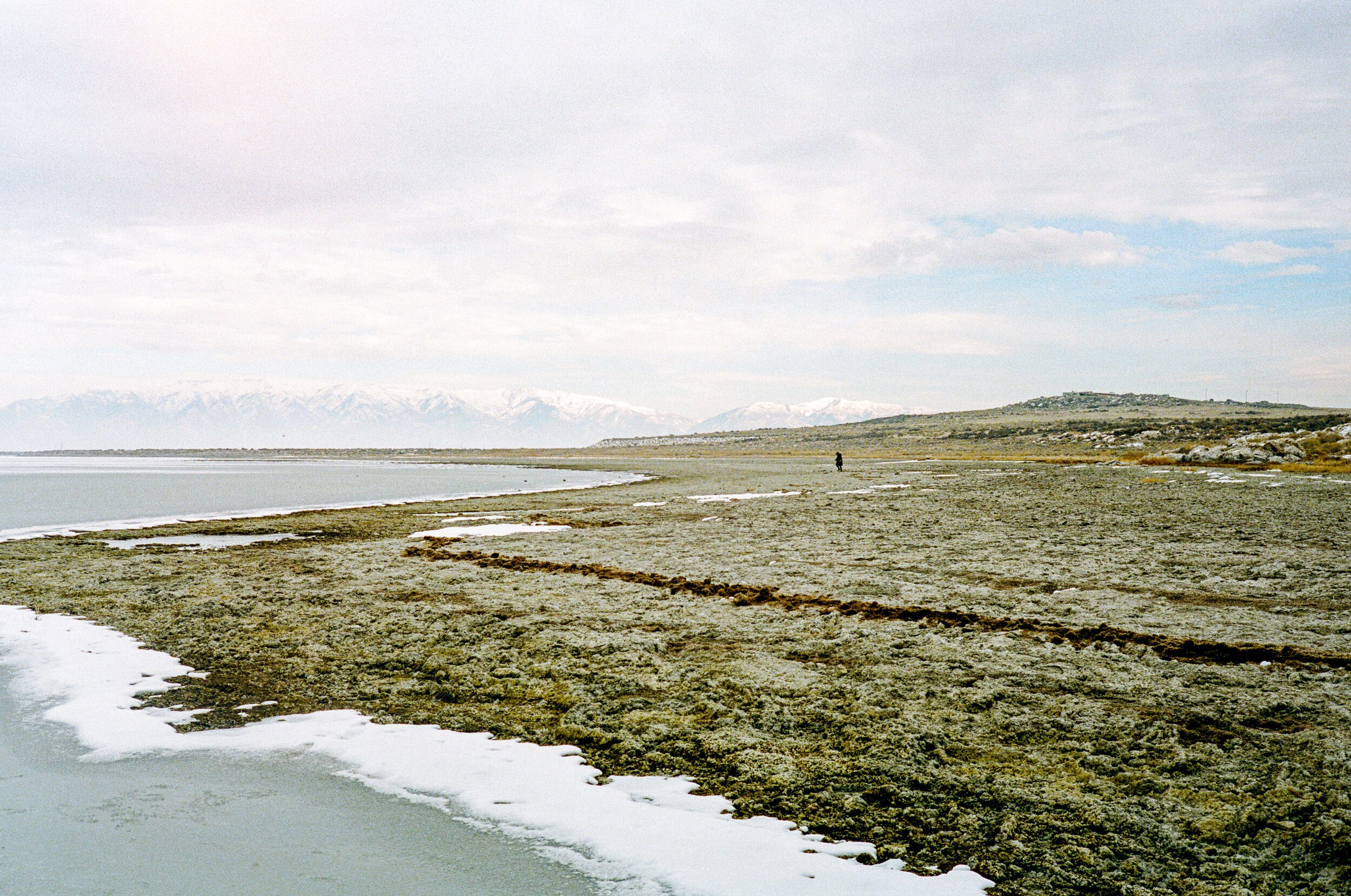 Antelope Island, 2021