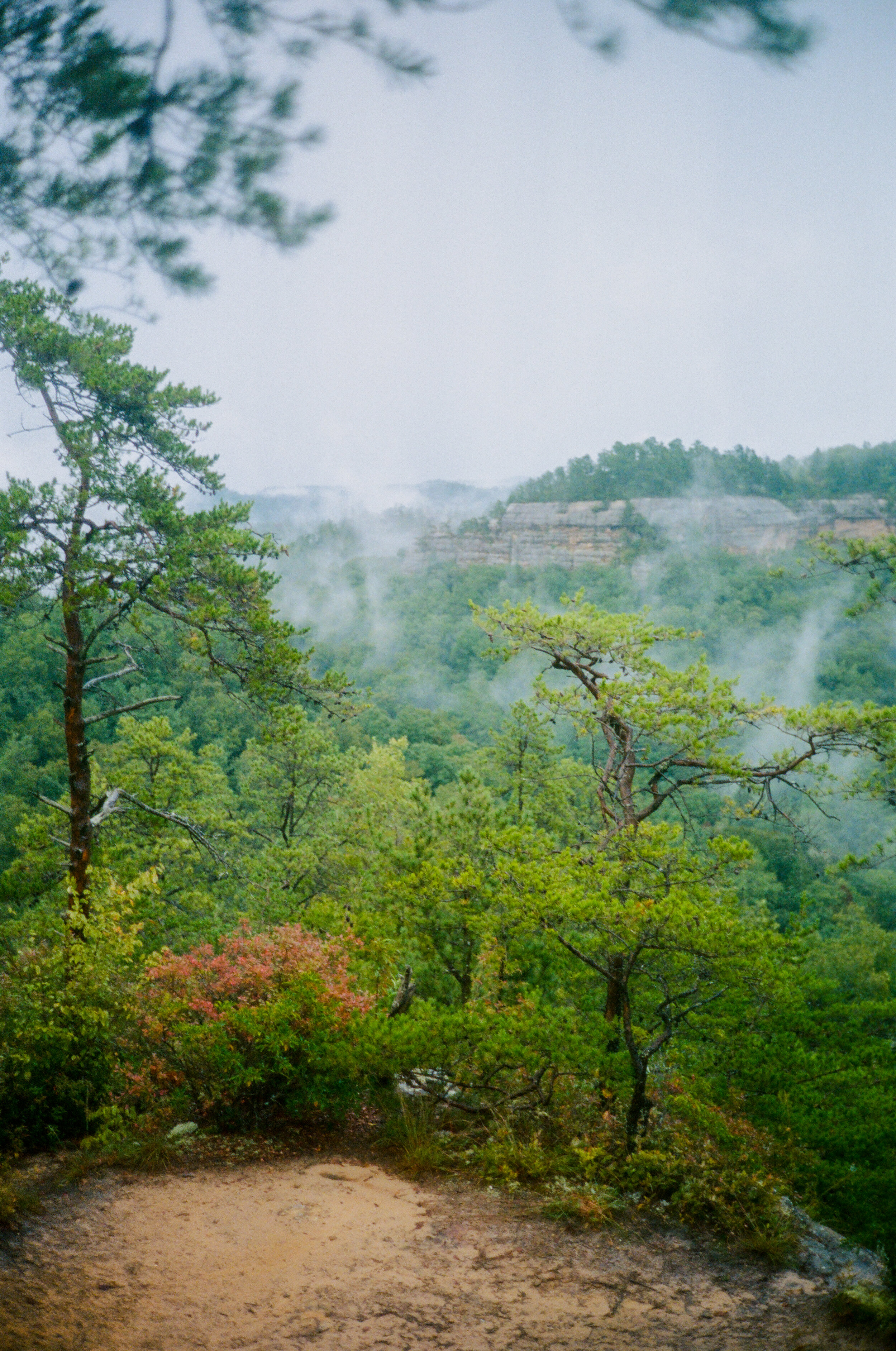 Red River Gorge, 2020