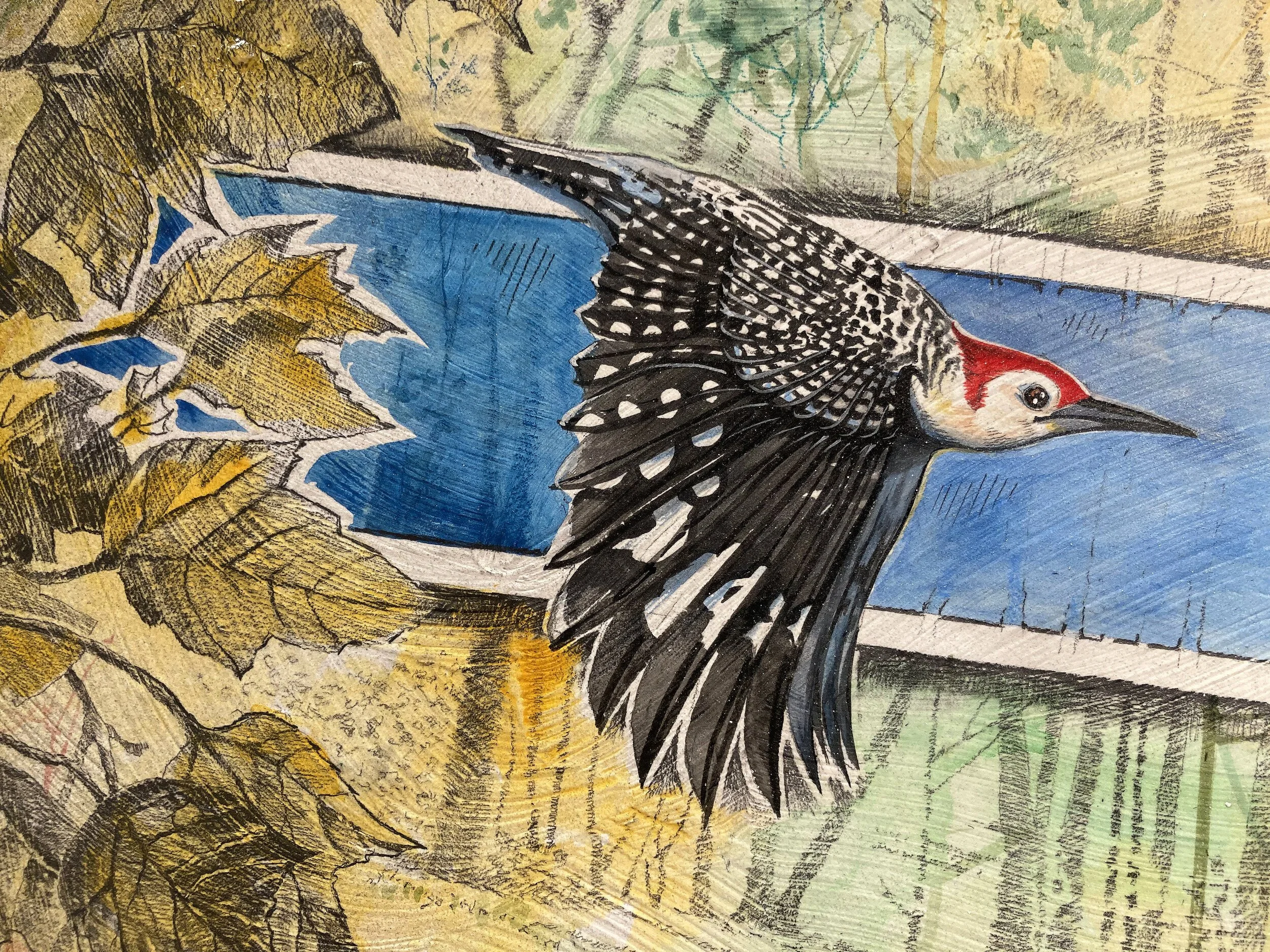 woodpecker-01detail.jpeg