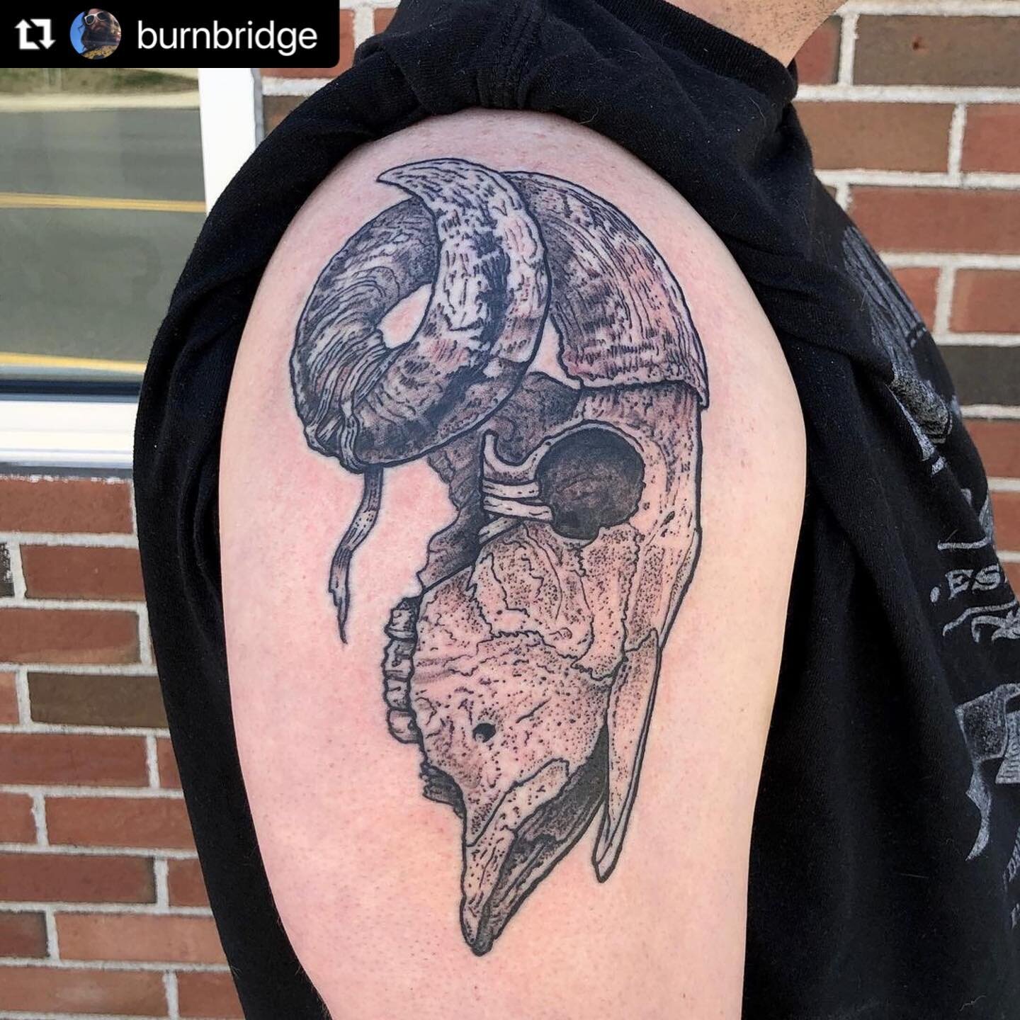 Check out this cool black and grey ram skull by @burnbridge ☠️🔥
Tap the link in our bio to get started on your next tattoo🤘
.
.
⚜️OXBOW TATTOO⚜️
.
#oxbowtattoo #tattooartist #matattooshop #westernmatattoo #tattoo #tattoos #ramskulltattoo