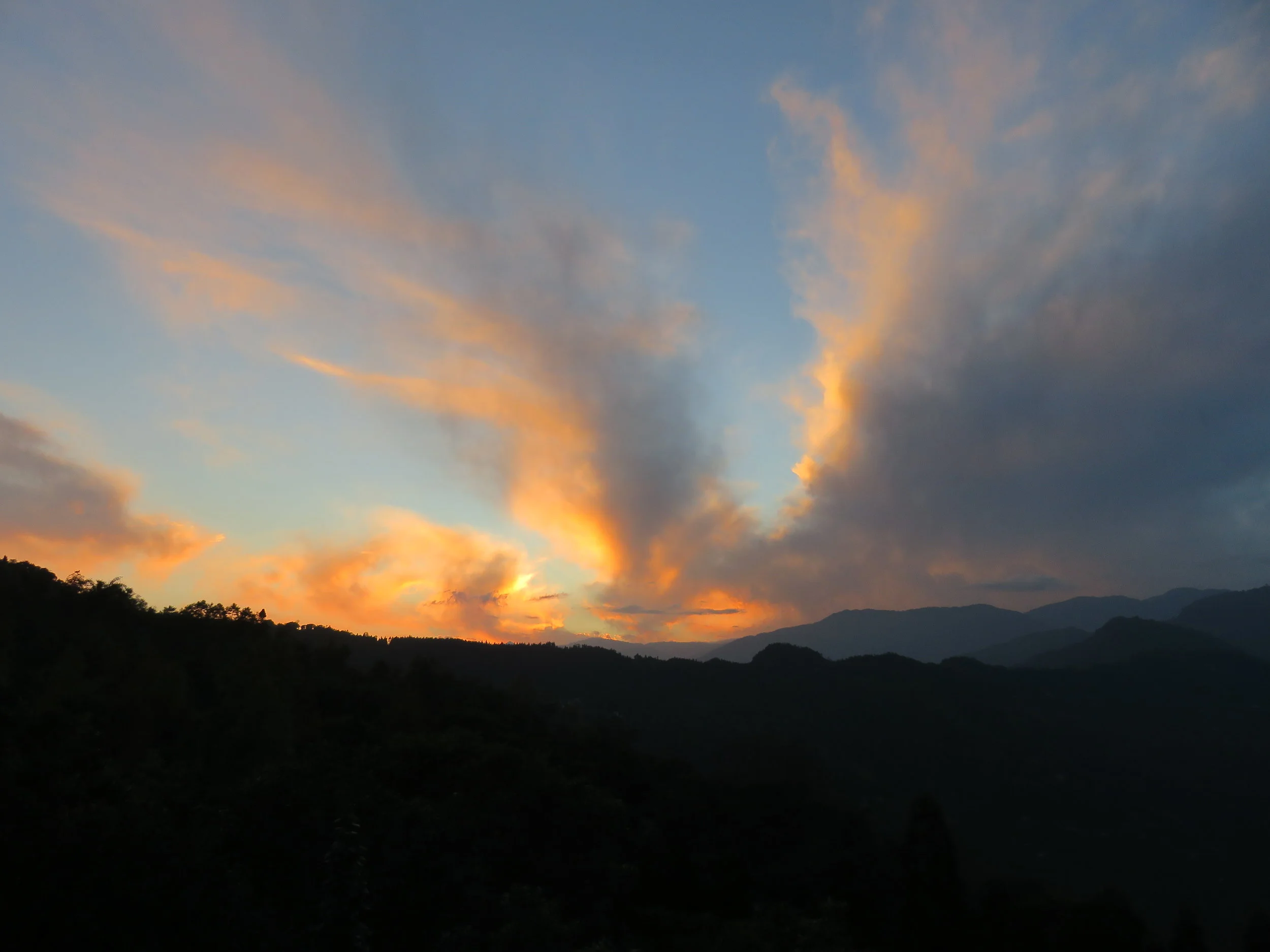 Acupuncture Testimonials Ann Arbor Dearborn — Eastern Integrative