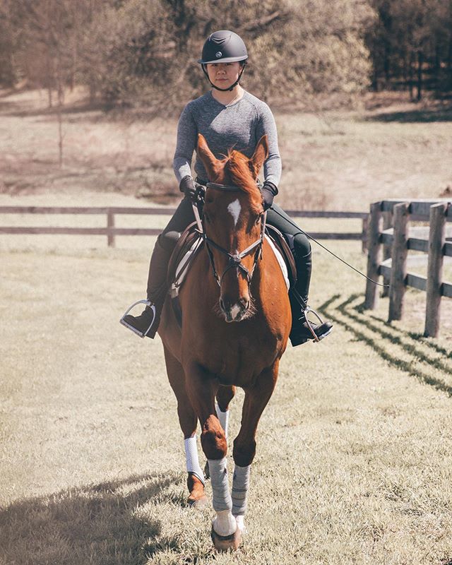 halt, salute, pat your unicorn 🦄 I love educating and trying out different disciplines with the equine world- in fact that&rsquo;s how I met @theblondeandthebay_ 💕 I had reached out to her just to say how much she had inspired me and helped me gain