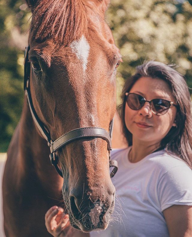 Let the #sundaysnuggles continue 💞 as we are all aware the emoji that best represents Lexington is the peach 🍑 not only does he have a killer booty, he is also covered in peach fuzz 🐴 you know, cause he is orange and fuzzy! He would also be lighte