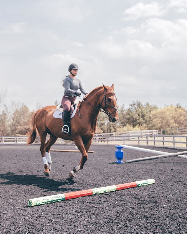 Getting over #humpday like 🚀 Lex and I had accomplished a thing this past Monday- we jumped a 3ft oxer 🐴 This many not be very high for some, my goodness it is a milestone for me in my confidence. My eyes are set on 3ft jumpers next year 🤩 but we 