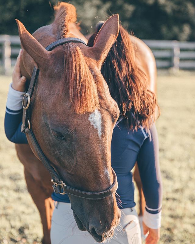 Me: &lsquo;a hug a day takes all your worries away&rsquo;
Lexington: &lsquo;a hug a day keeps the ground monsters away&rsquo;

I love special moments like these where I can feel the bond that has been created over the past 10 months 💛 Lexington has 