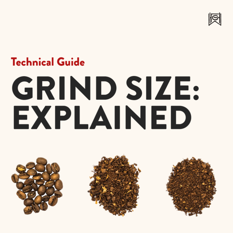 Salt Grain Sizes: How Different Grind Sizes Enhance the Flavor of Your Food  - Holar