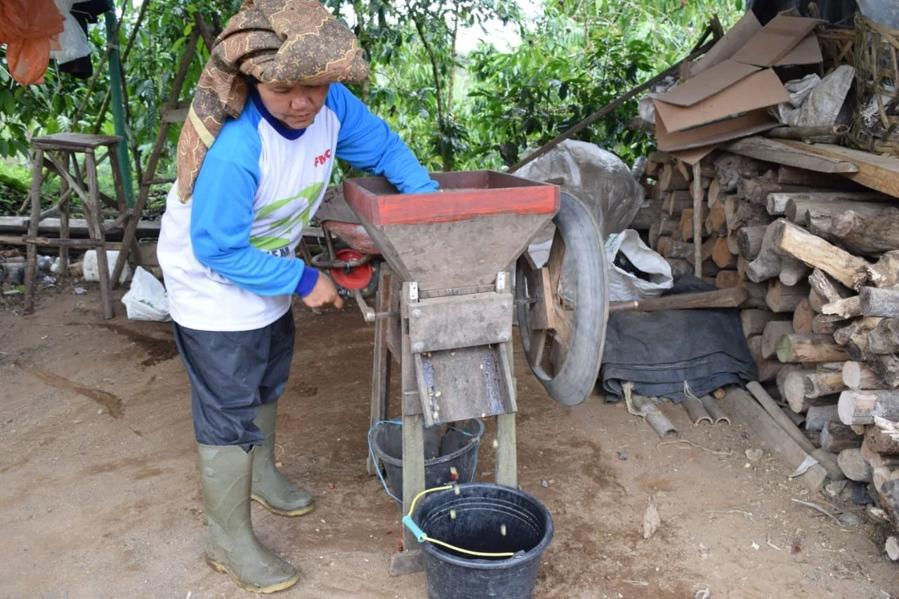 Coffee Processing 101 Washed Coffee — Weathered Hands