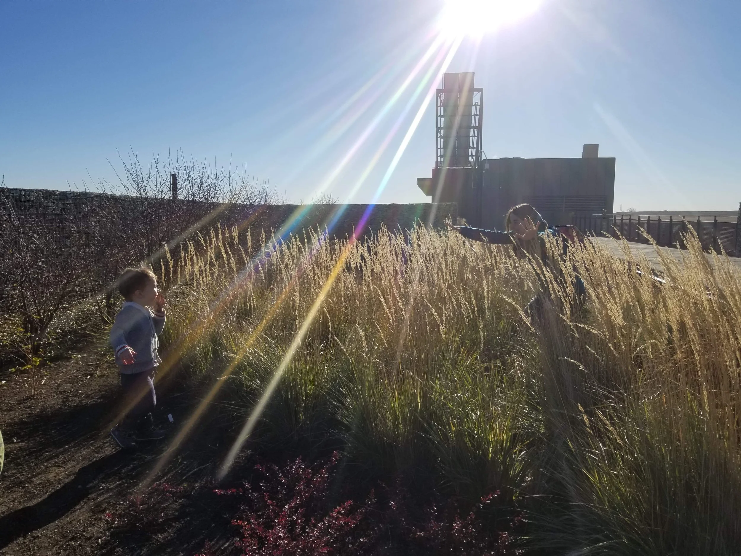 Reflections on turning 40