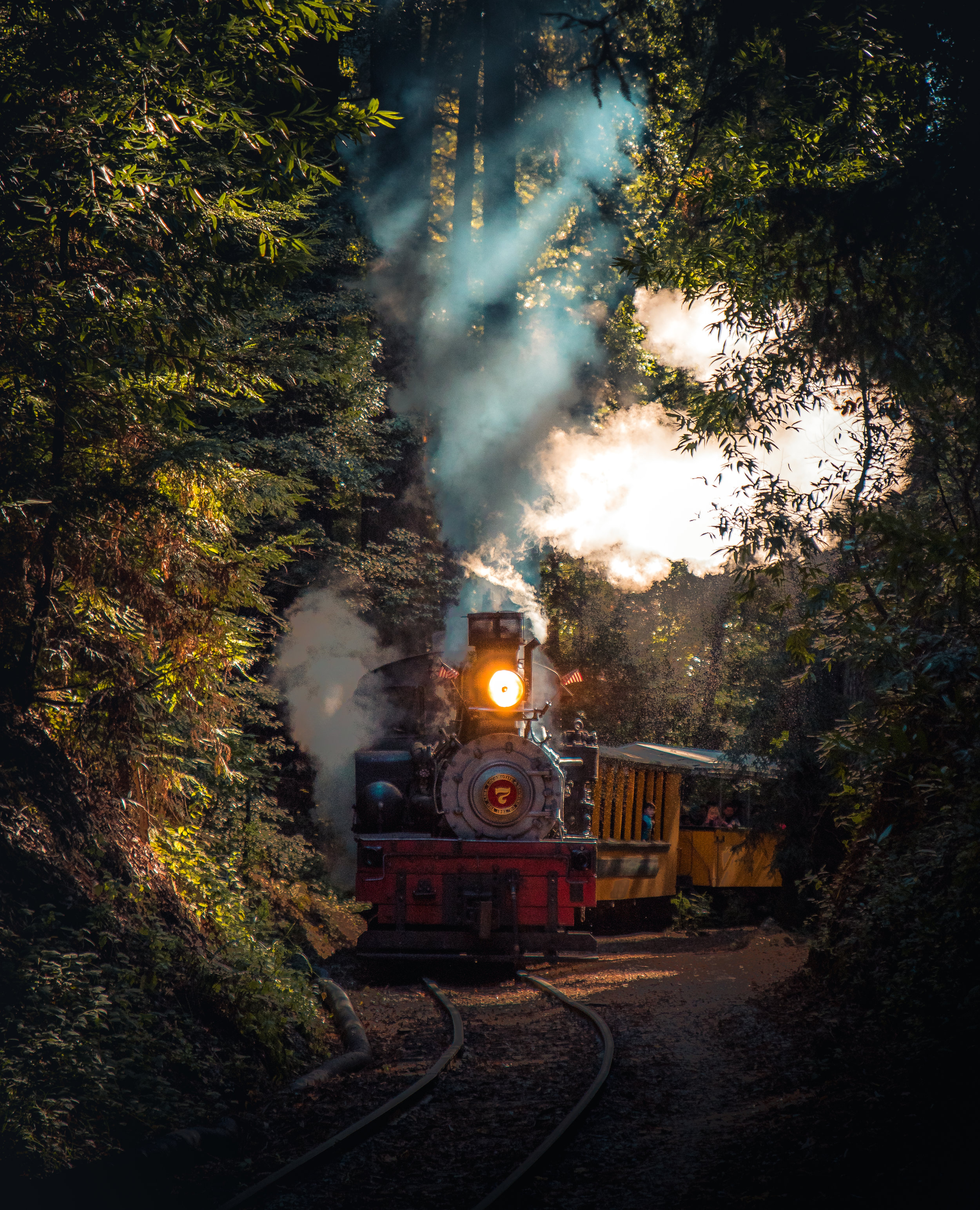 My son wanted a train picture to be on this post so here it is.