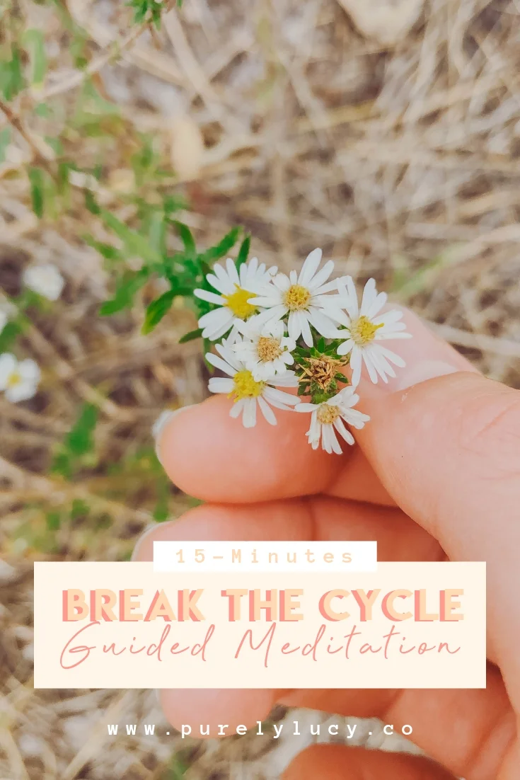 Break the Cycle.jpg