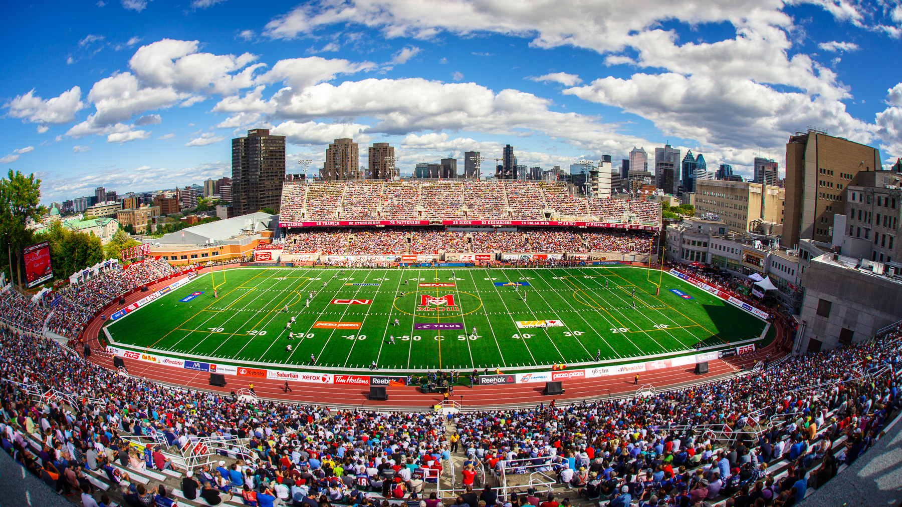 Molson Stadium