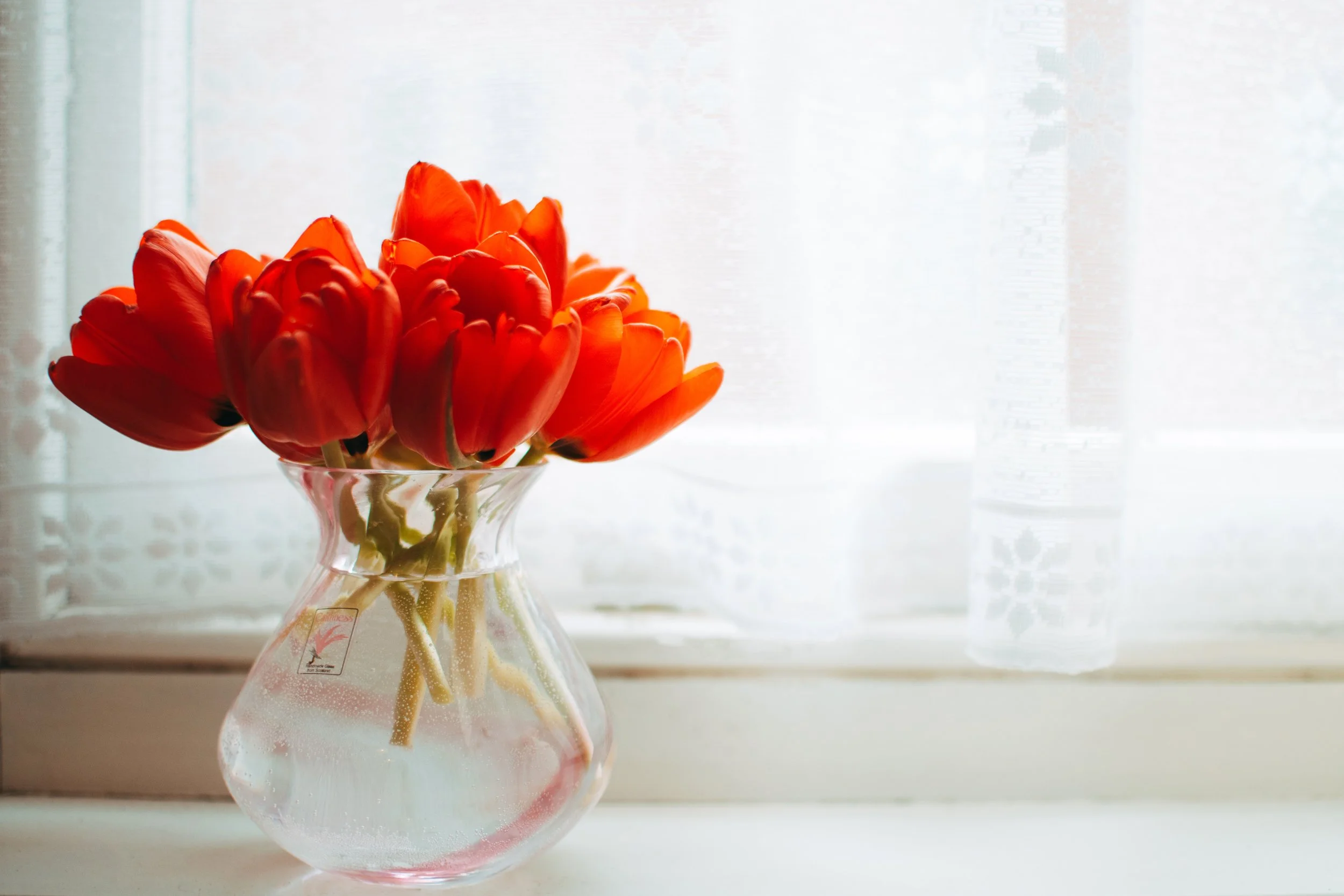bouquet-bunch-of-flowers-color-858192.jpg