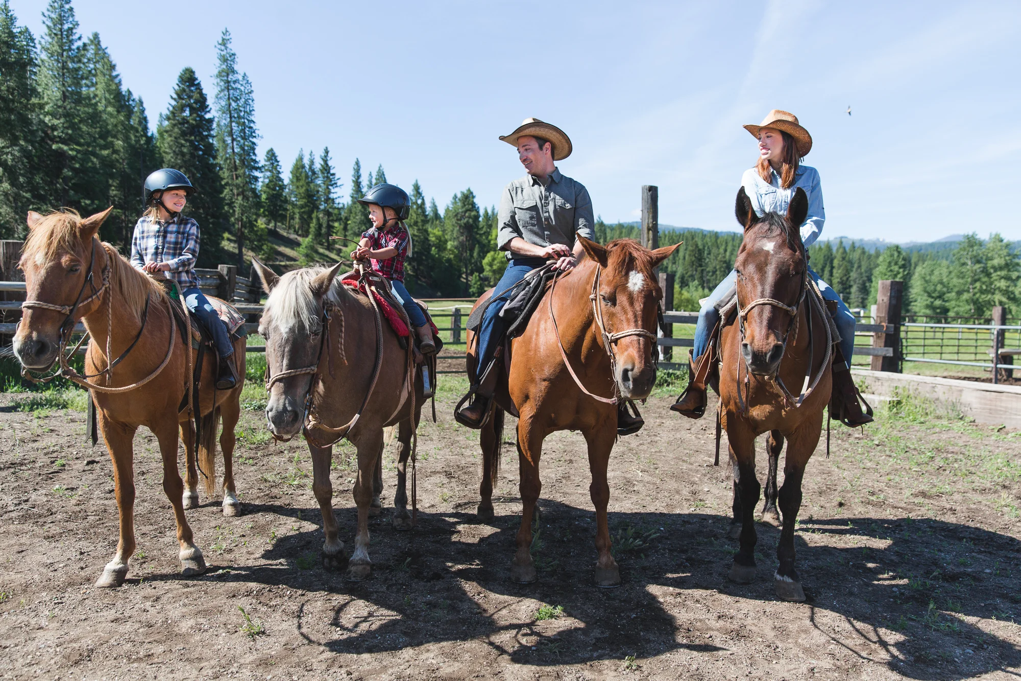 horses-25.jpg