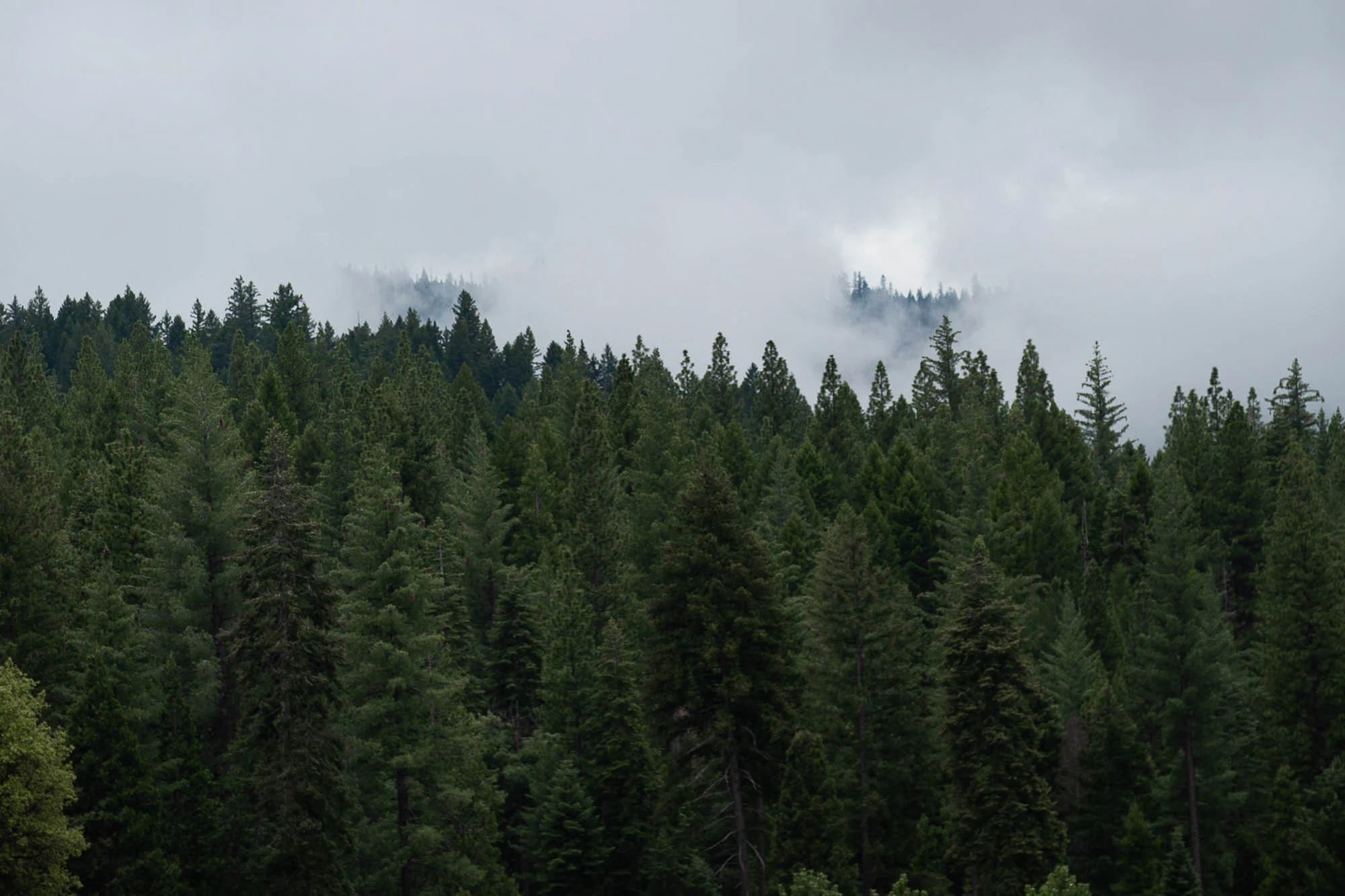 5F9A5087.jpg
