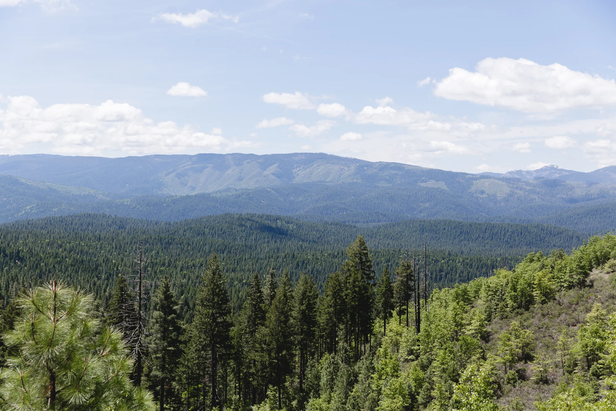 Greenhorn Ranch of Northern California offers ideal surroundings for outdoor activities