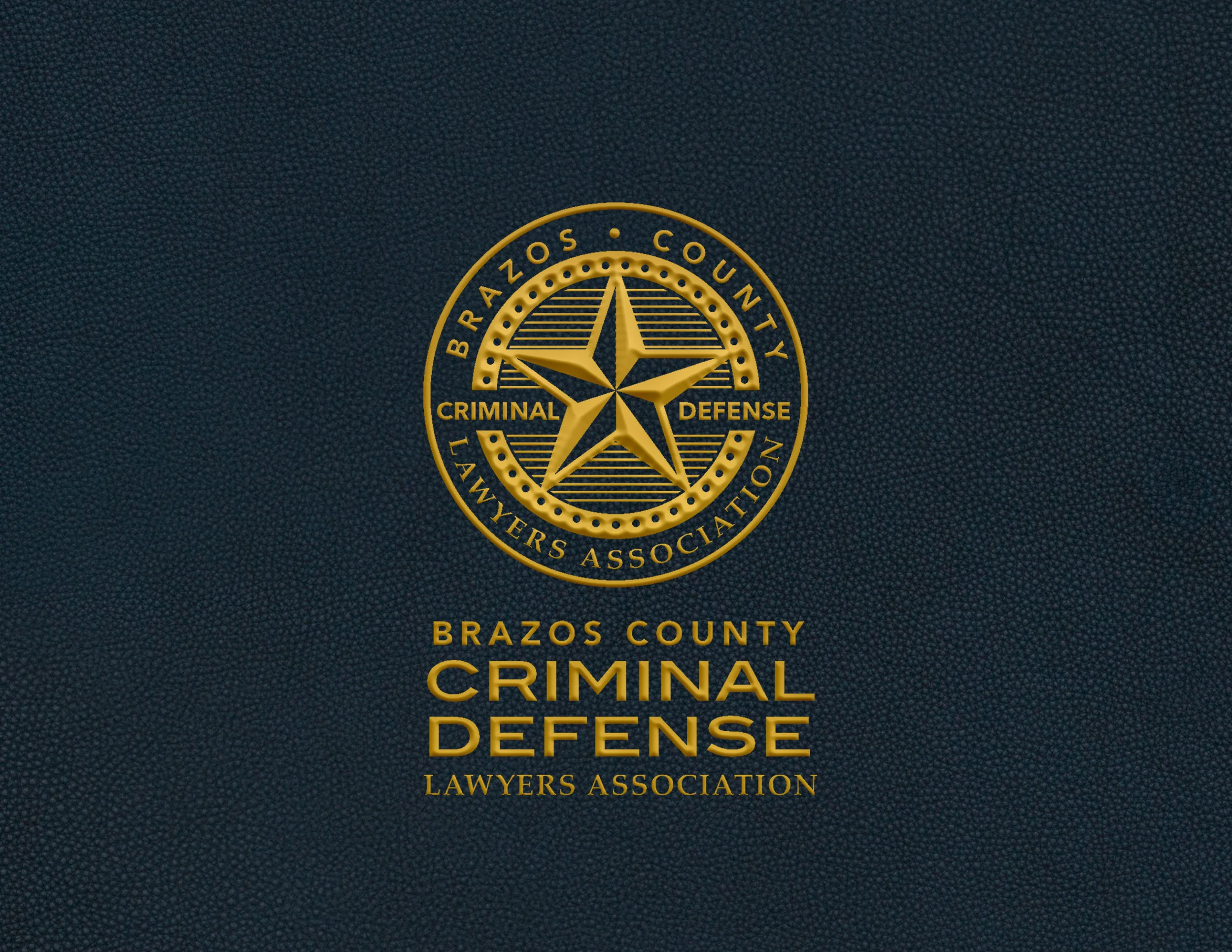 25171 BCCDLA Logo_Draft _mockup2.jpg
