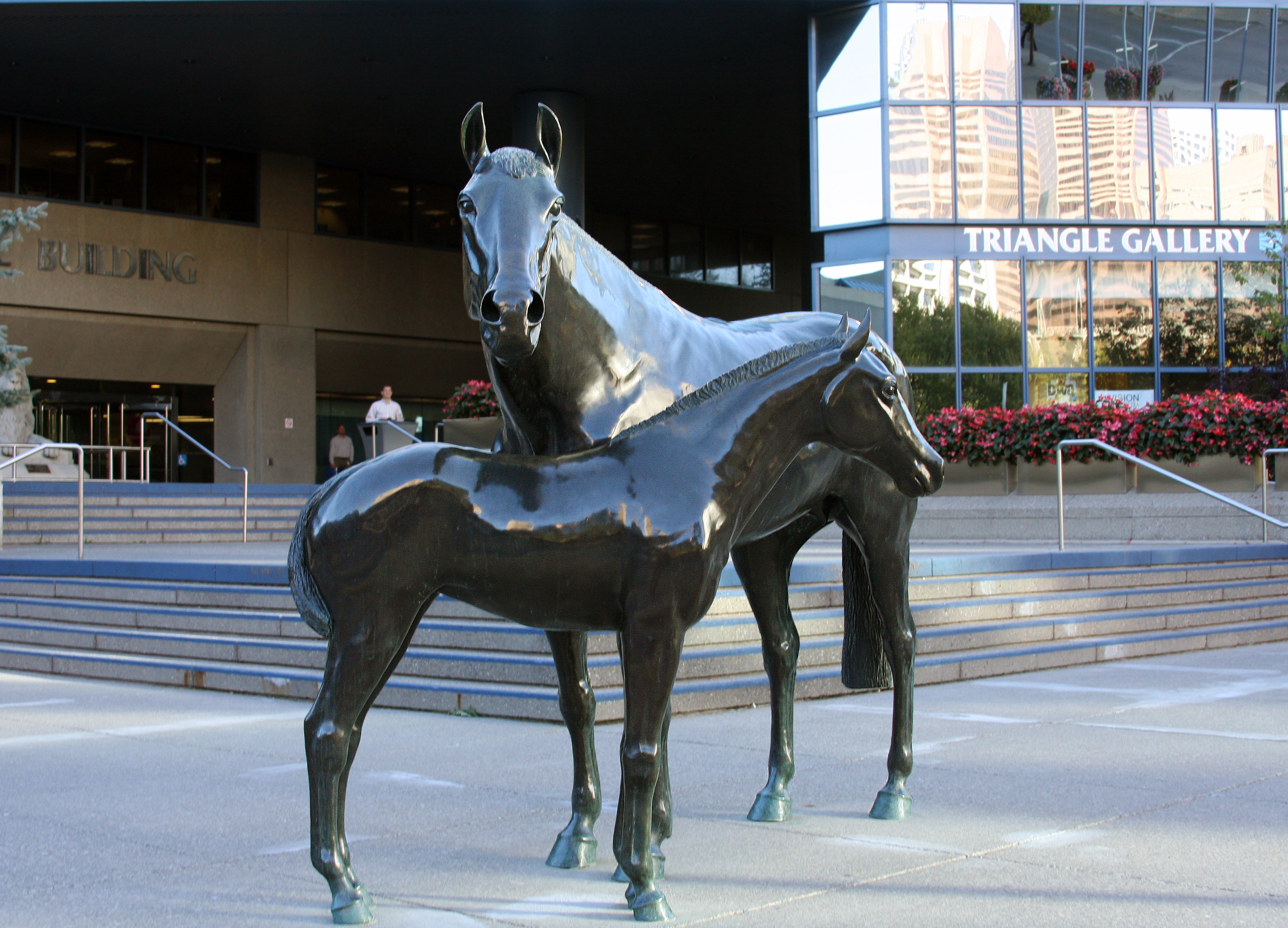 "Family of Horses" by Harry O'Hanlon