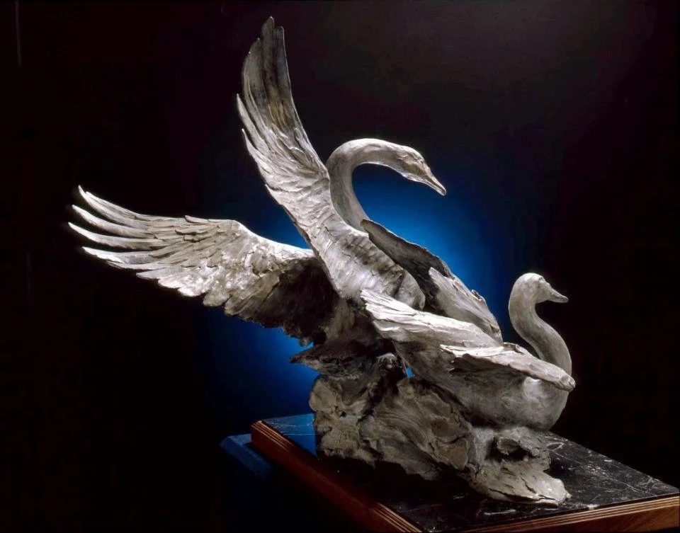 "Tundra Swans"