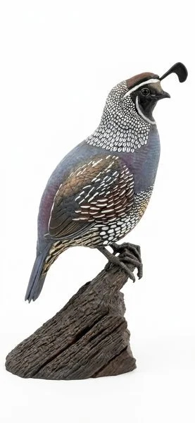 eric-thorsen-bronze-business-award-quail.jpg