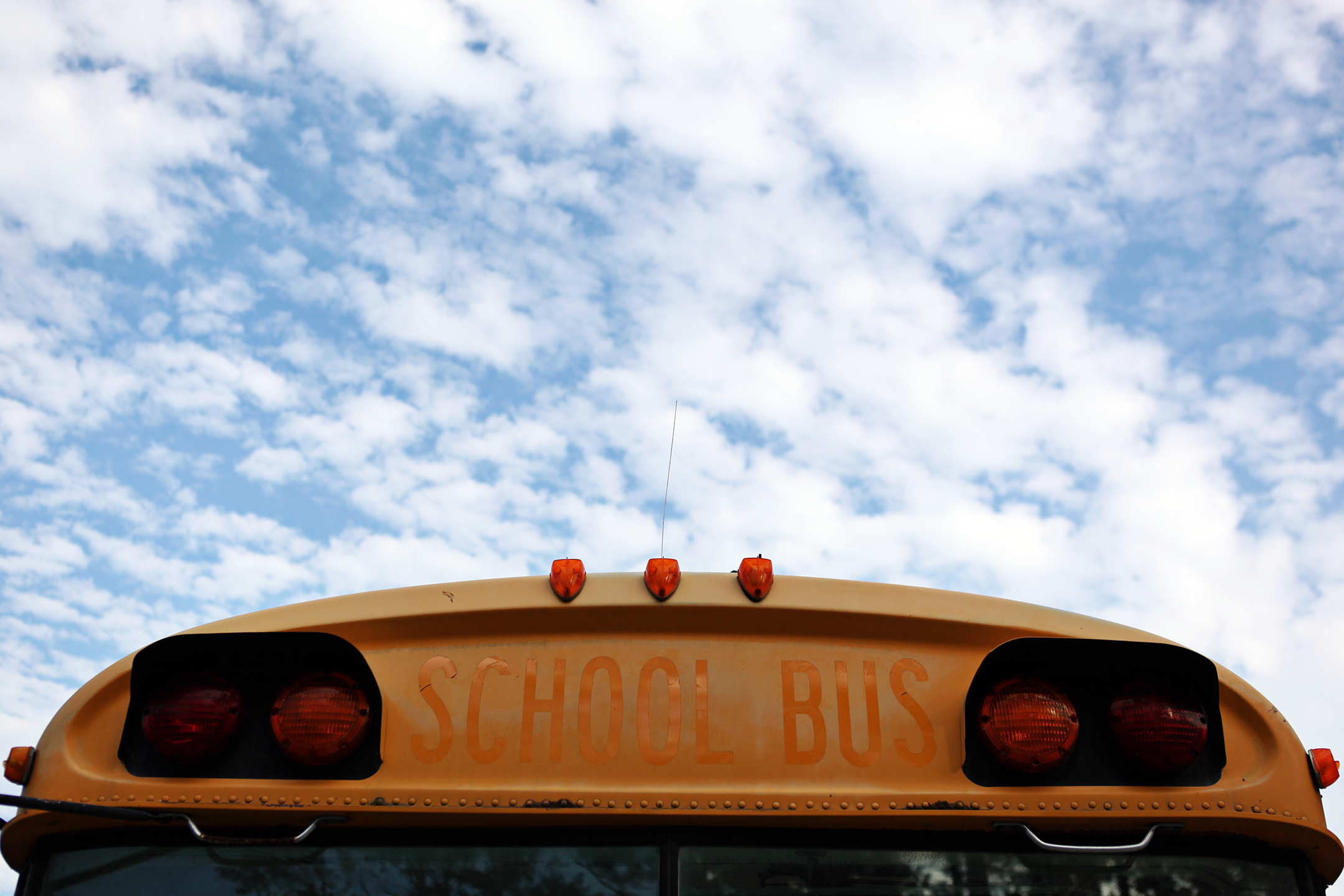 Bus9.jpg