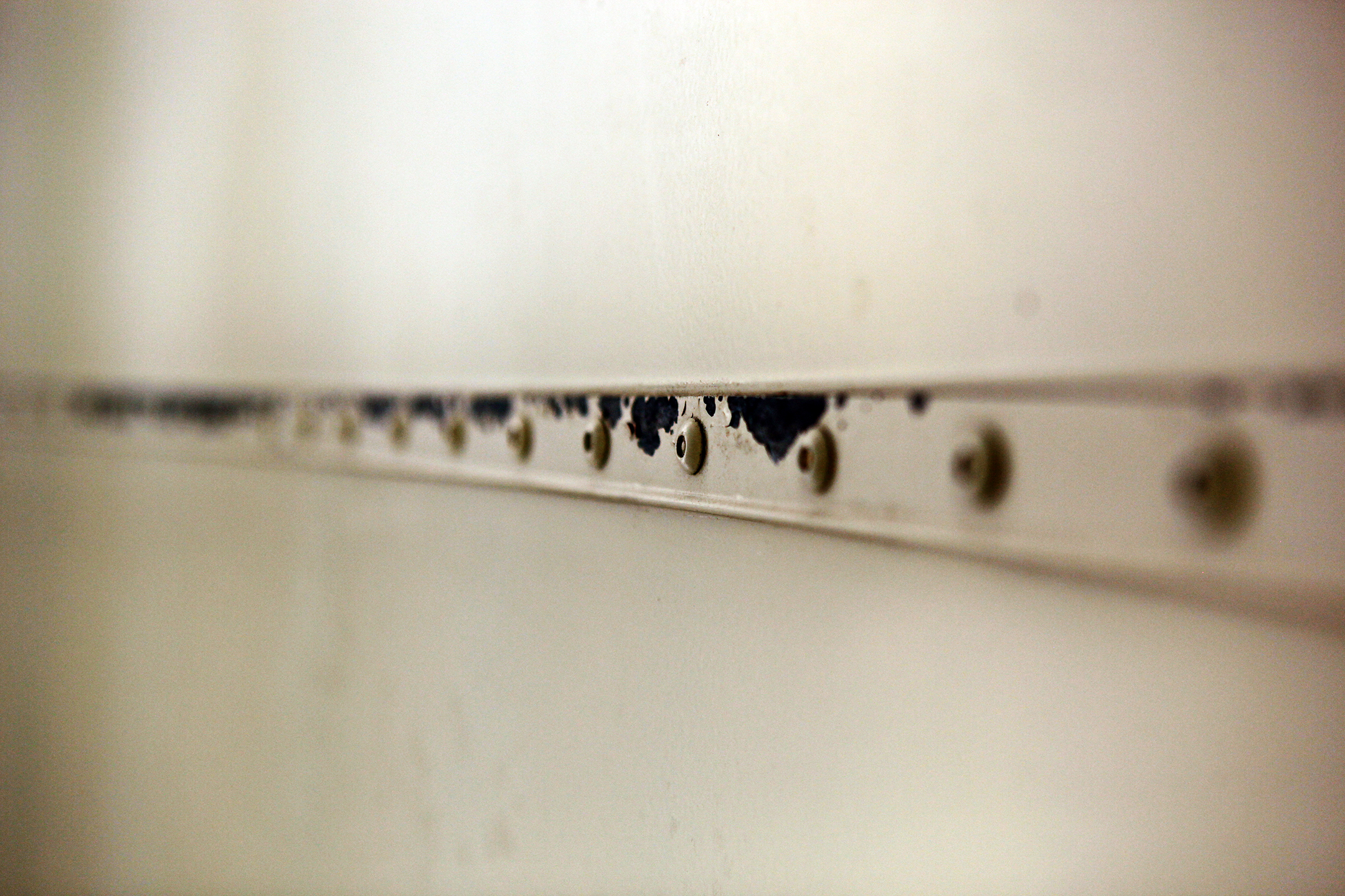Bus22.jpg