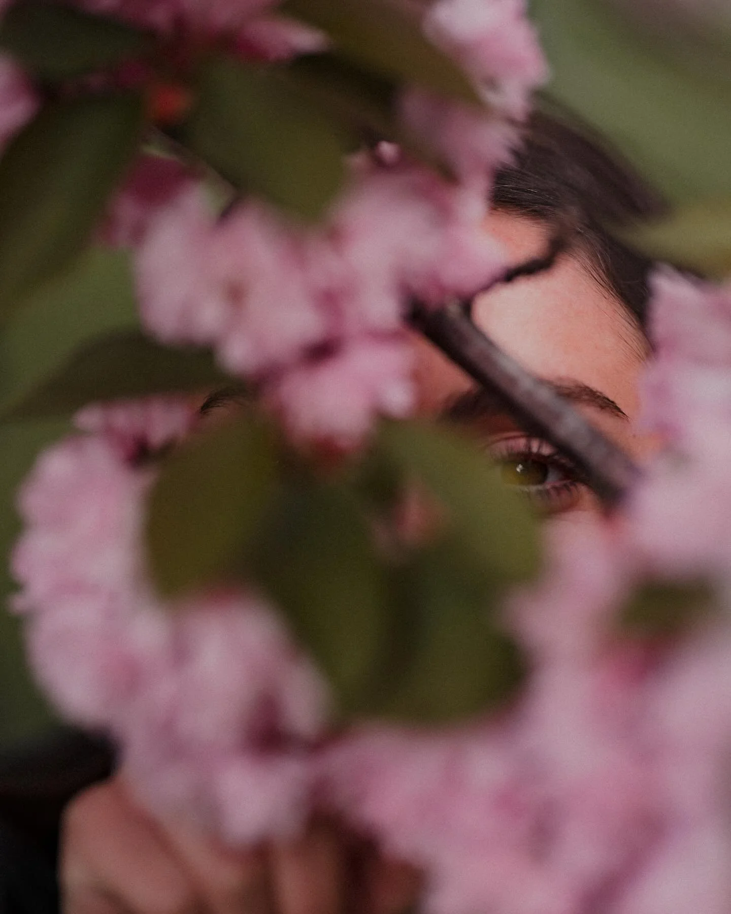 Waking up from hibernation 🌸