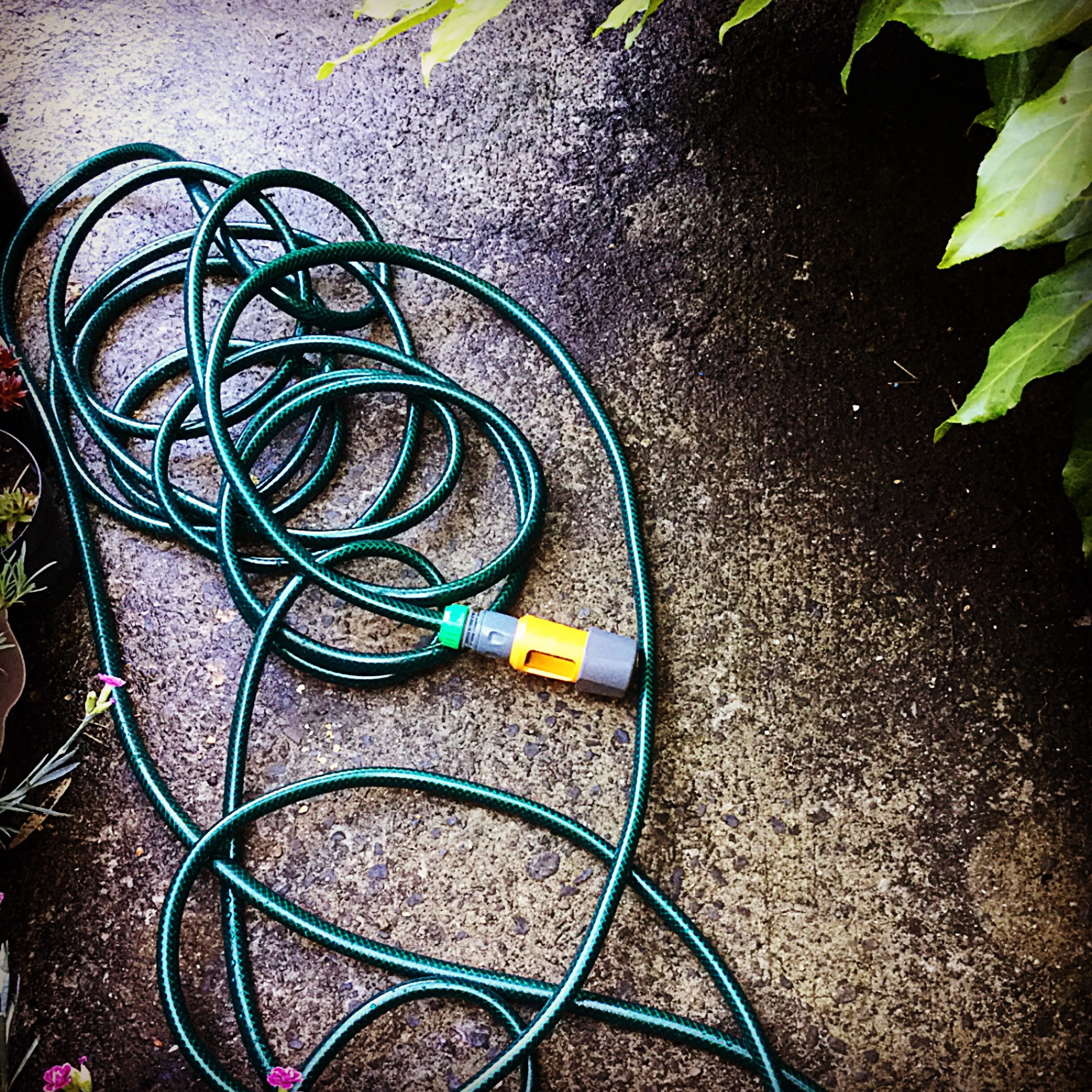 Hose Pipe Wars ~ How To Win Tiny Victories In Life.