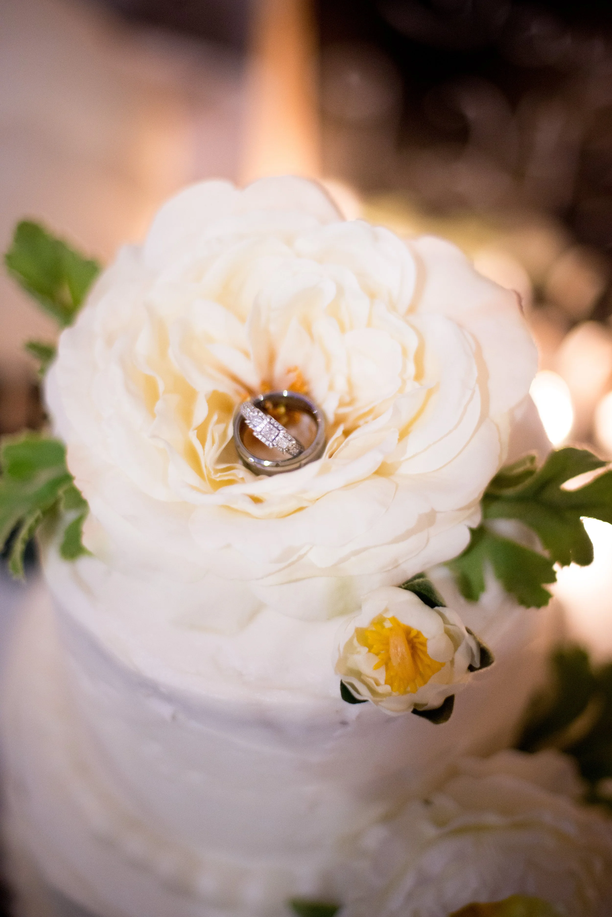 LardinoisWedding-416.jpg
