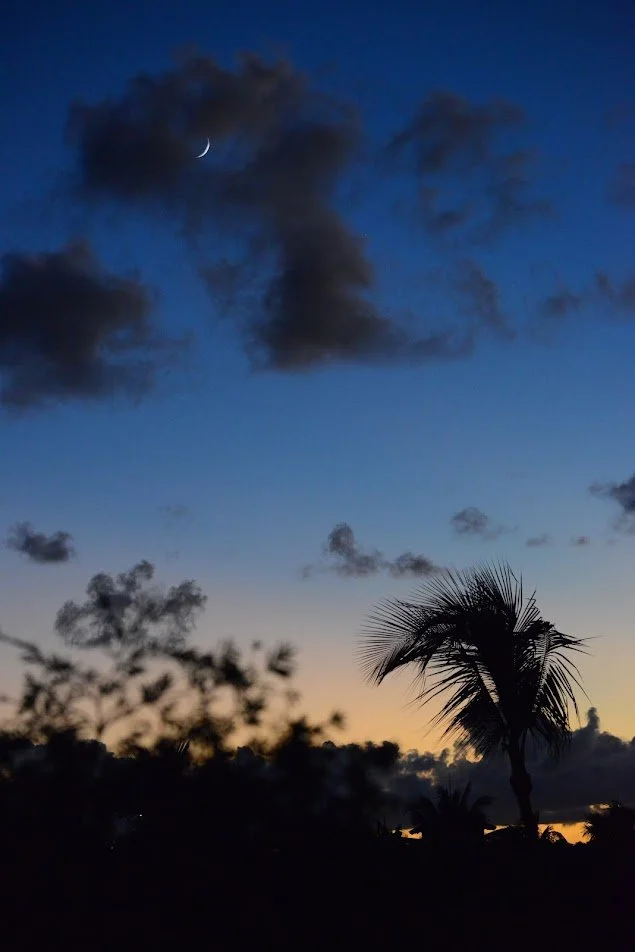 MoonSunset.JPG