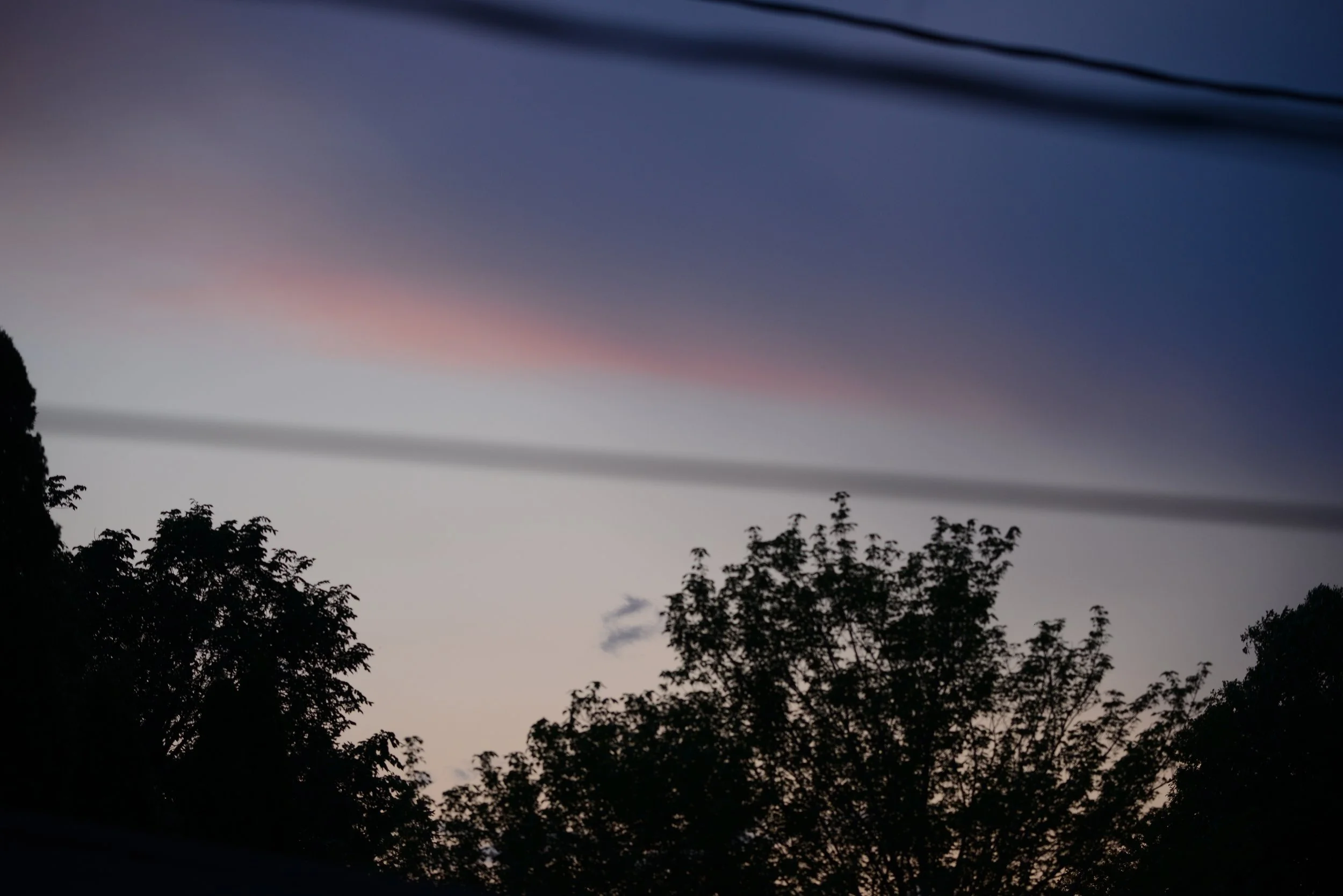 CLL_8982.JPG