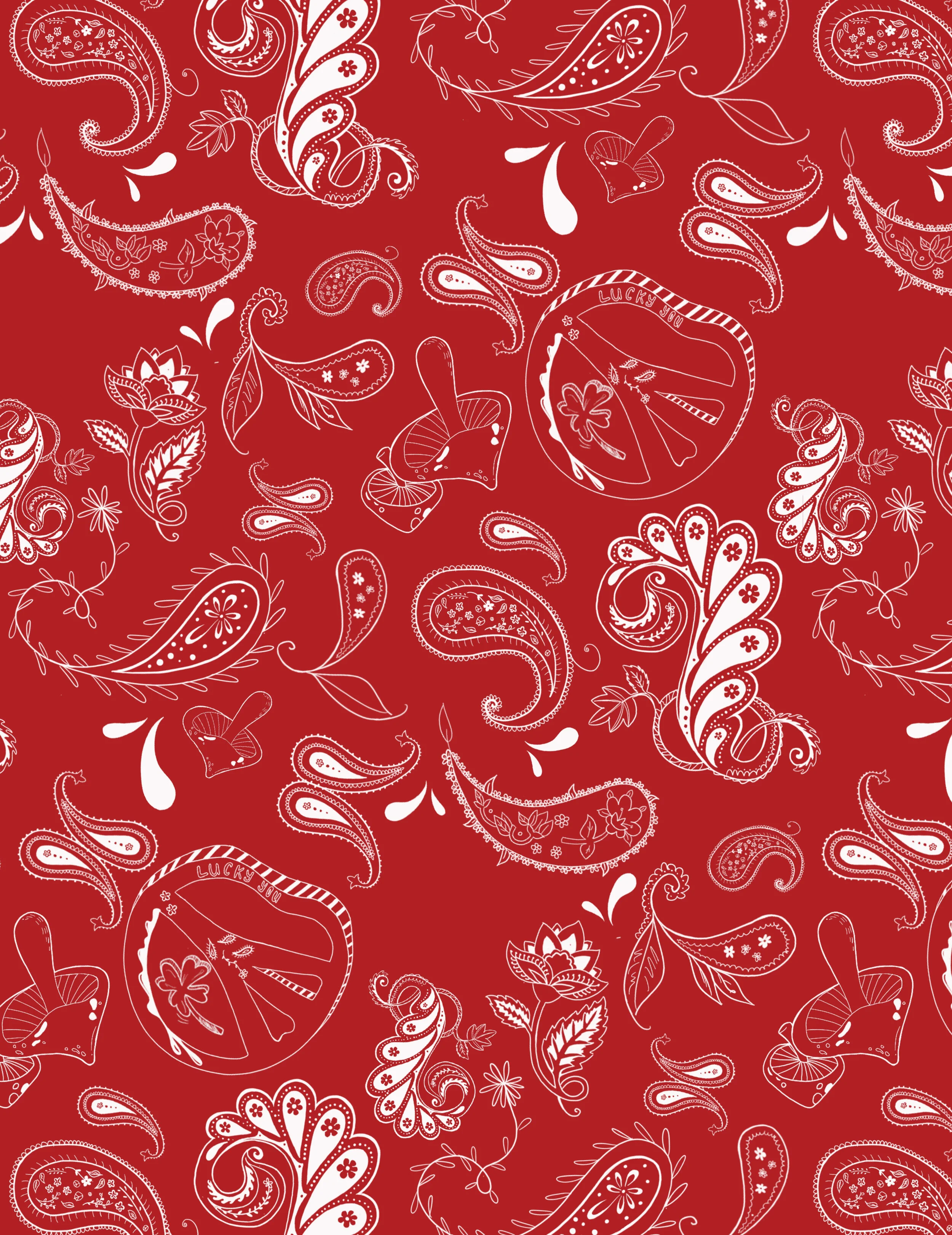 HAZY PAISLEY_white print_RANCHO RED.jpg