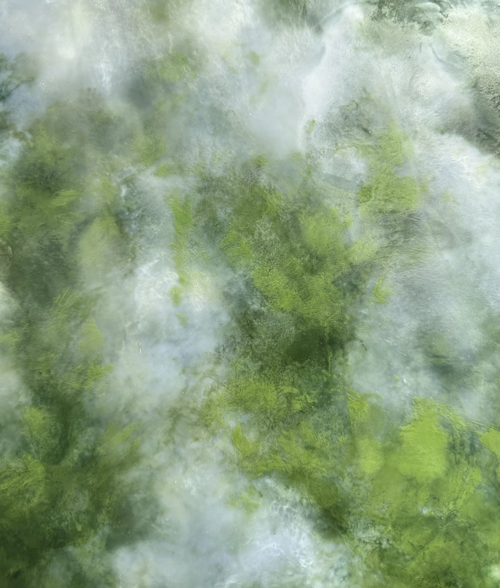 Amell_Kim_Orr smallstudy no 5_details.jpg