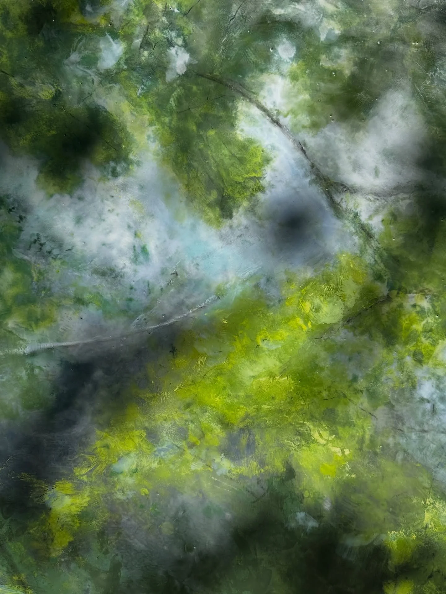 Up close with the new work from my Orr Series&mdash;where mist, greens, and light shift with every angle. These layers of wax and pigment catch the sunlight in the most magical way, revealing textures you can almost feel.

Swipe through to see how th